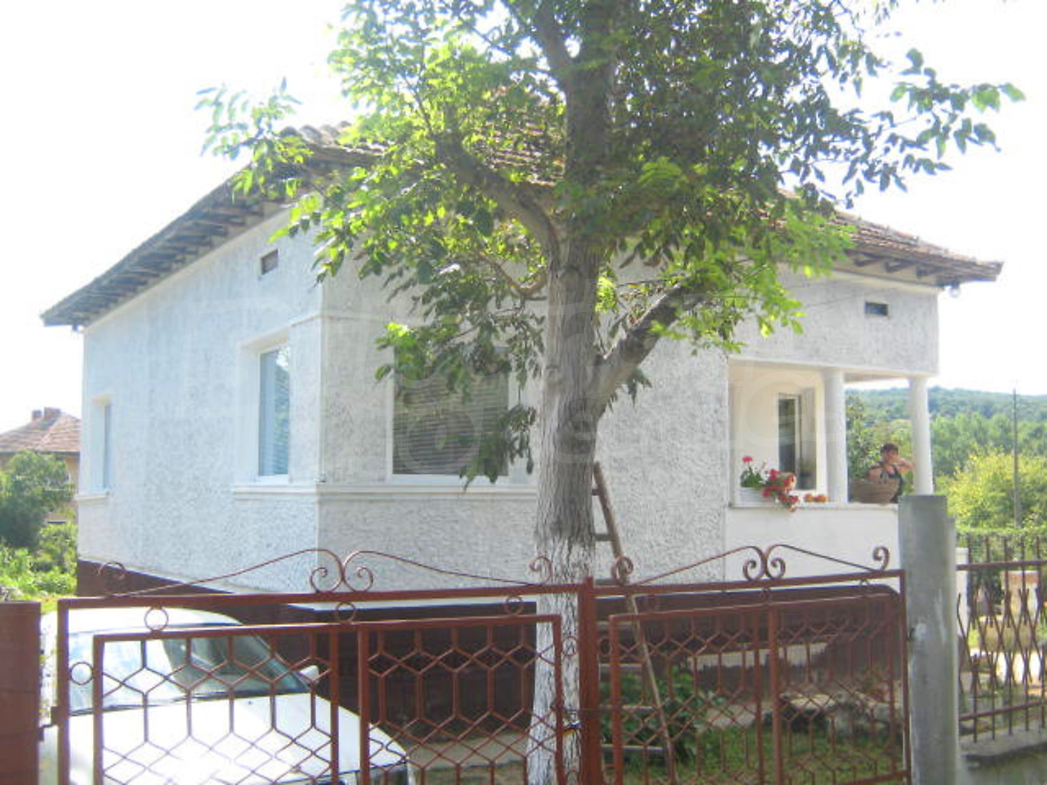 Gallery Picture 3