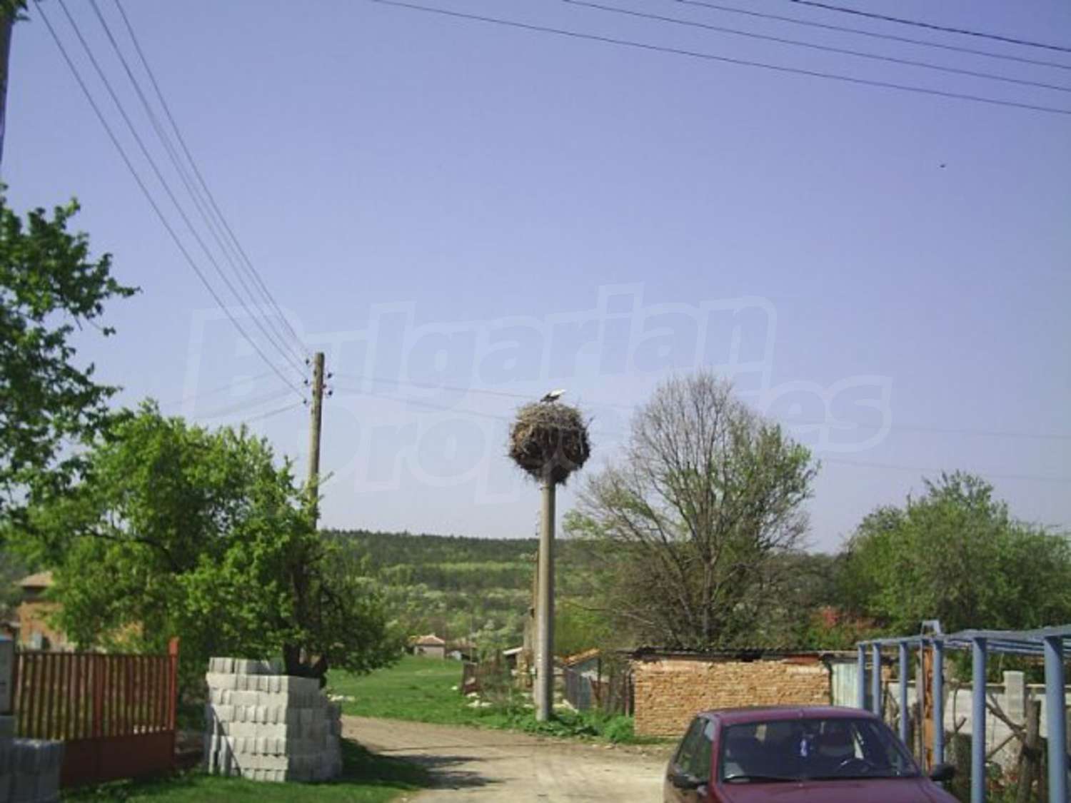Gallery Picture 14