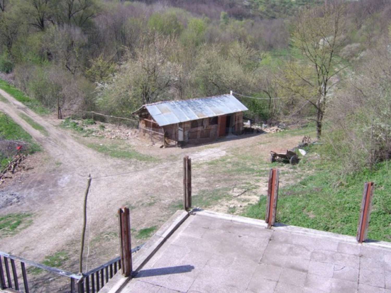 Gallery Picture 15