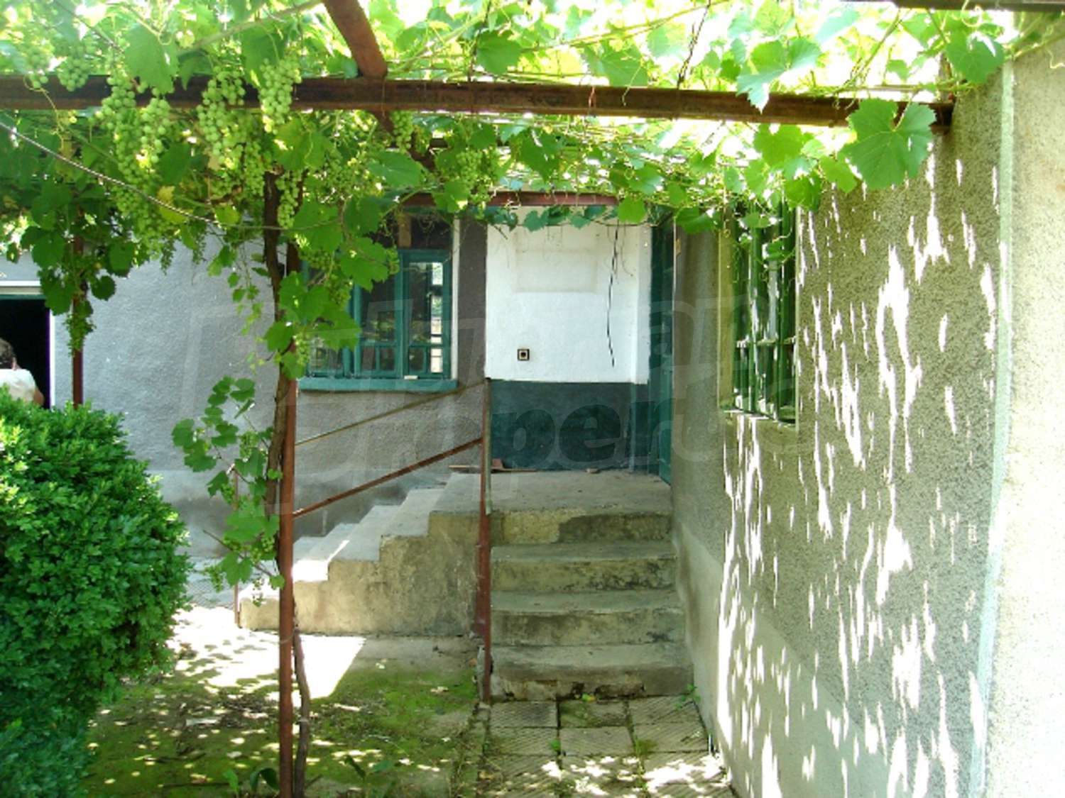 Gallery Picture 11