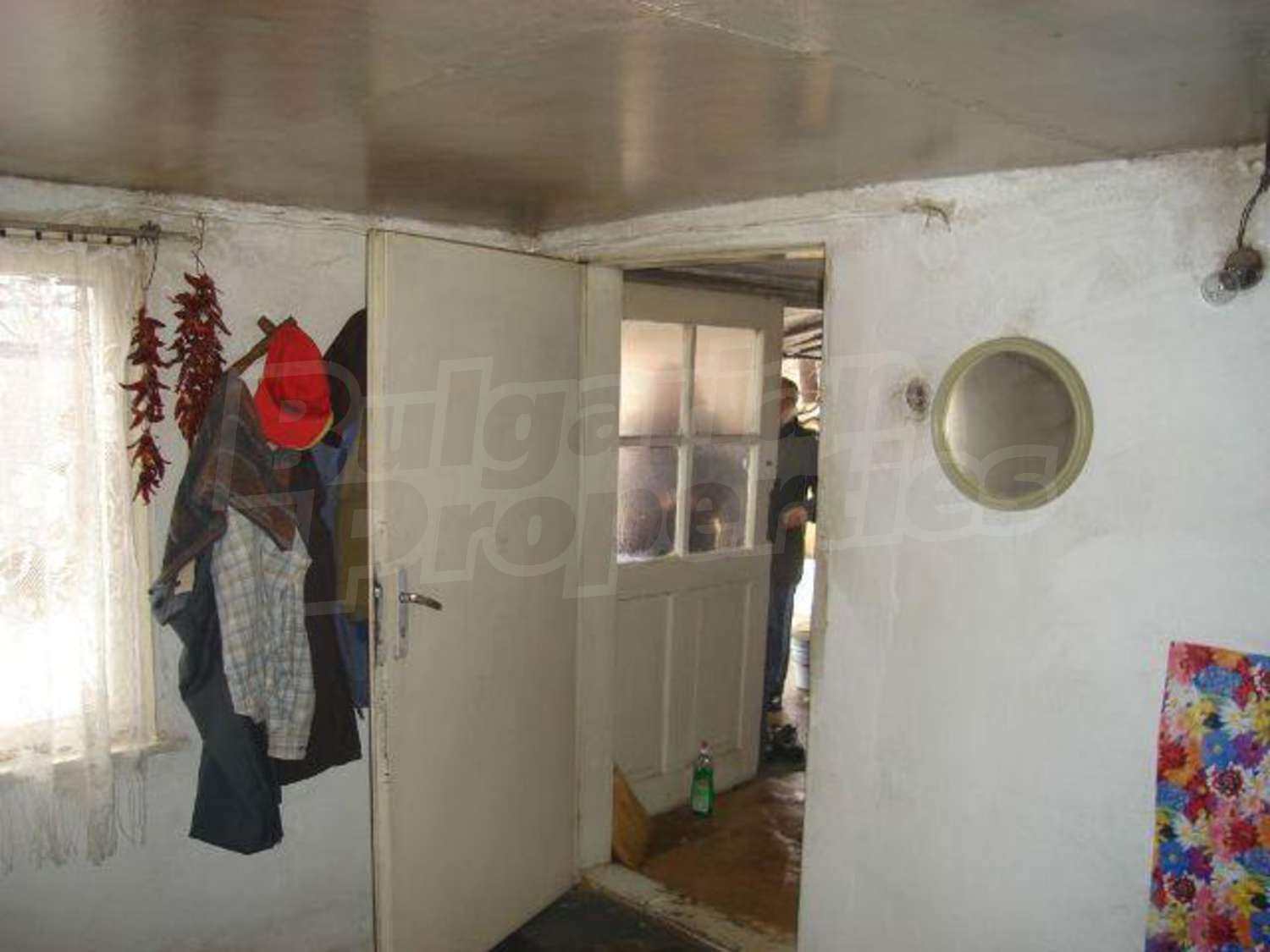 Gallery Picture 5