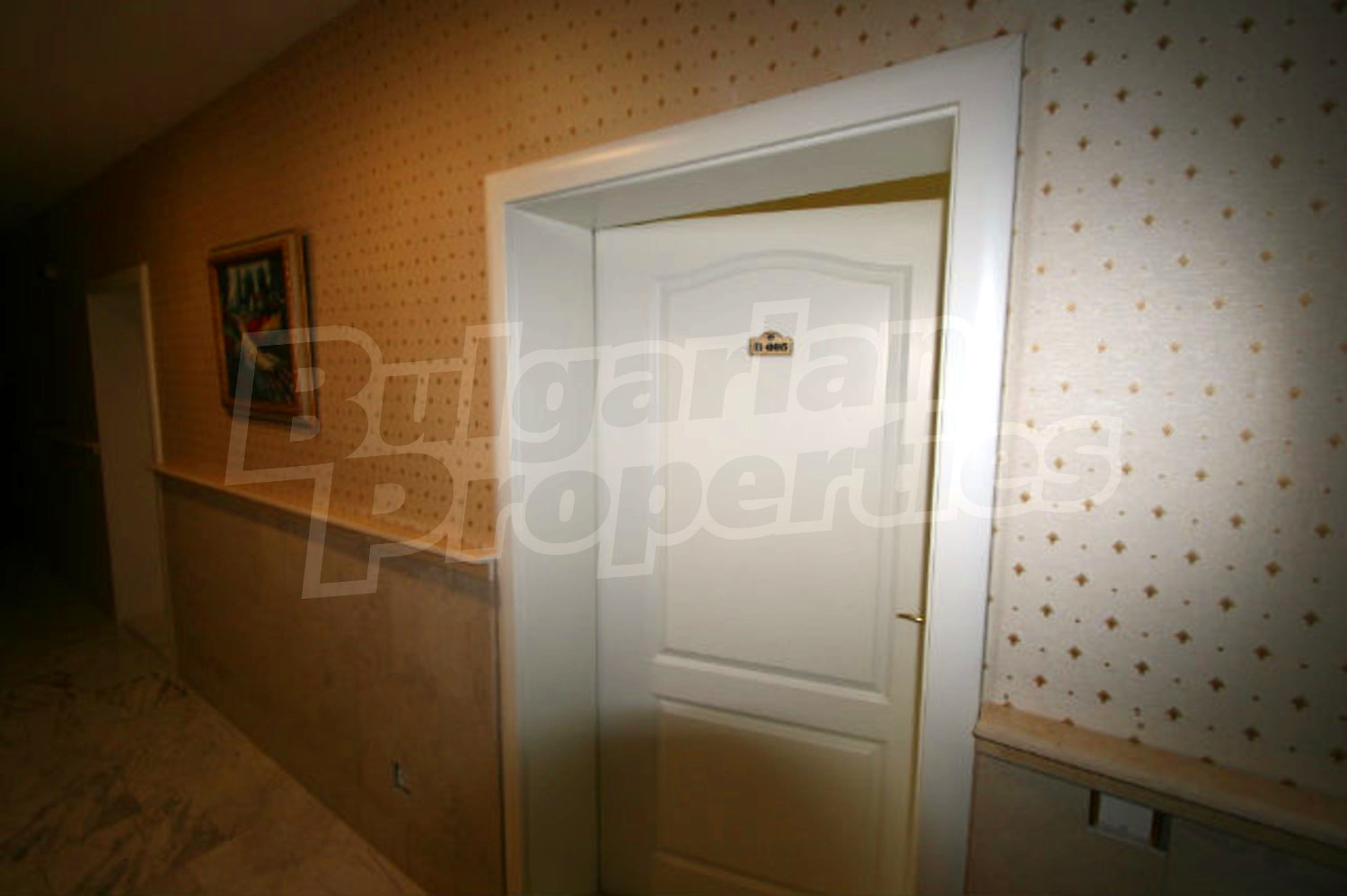 Gallery Picture 14