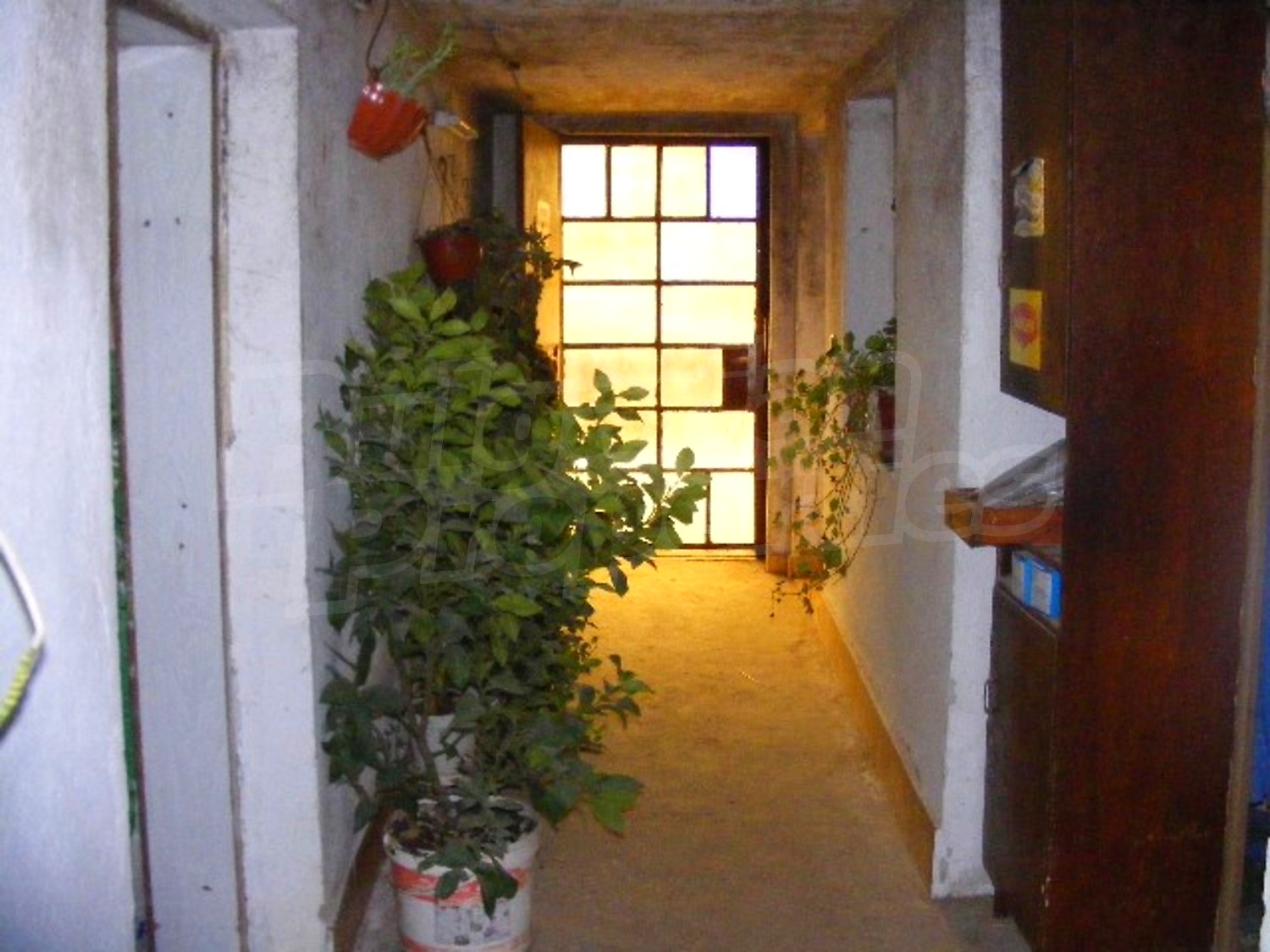 Gallery Picture 12
