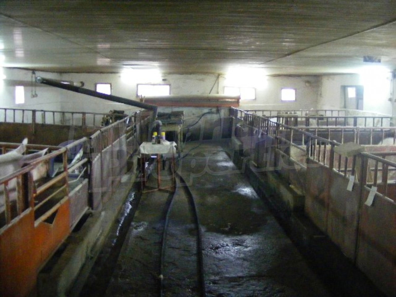 Gallery Picture 8
