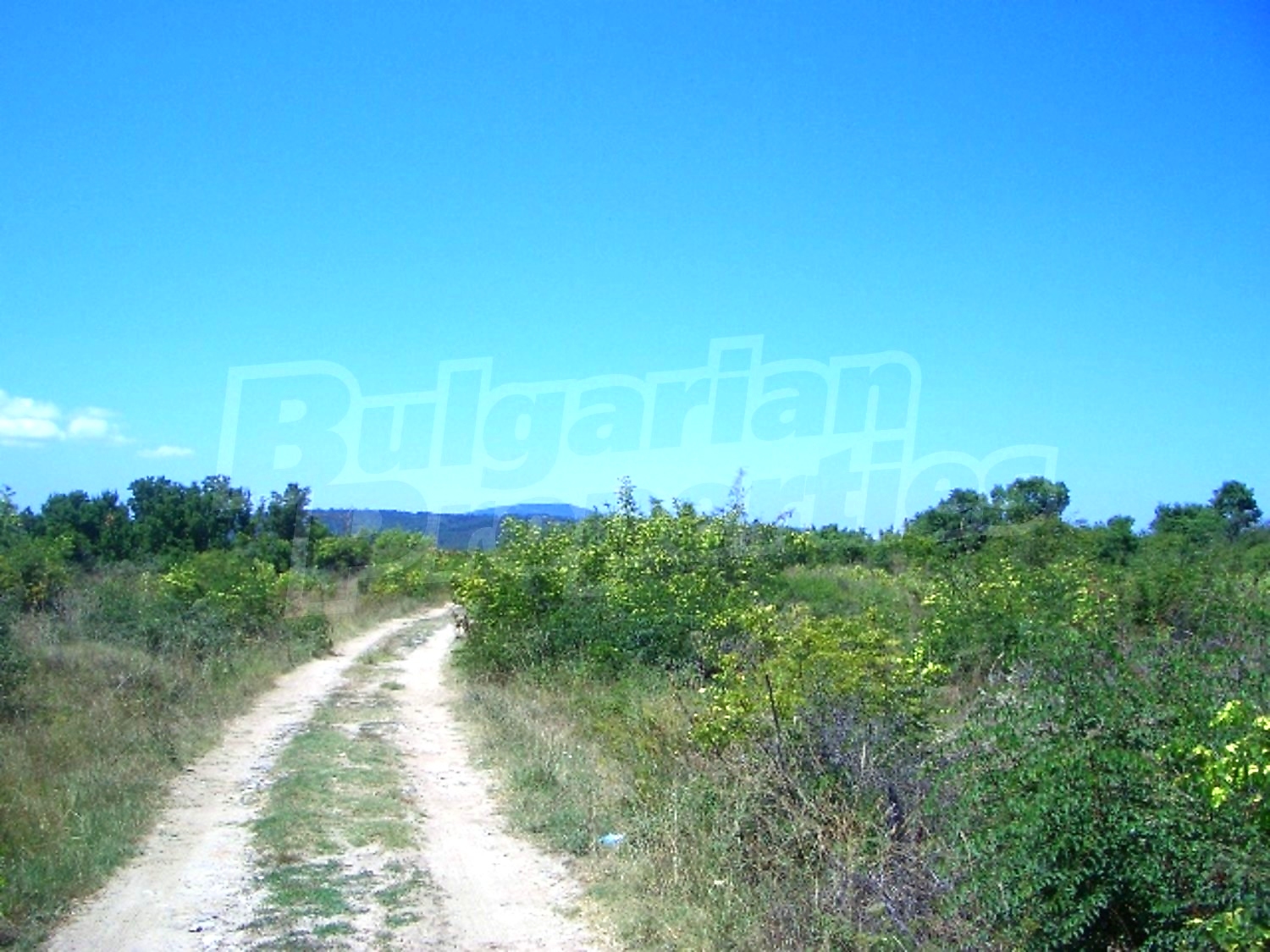 Gallery Picture 21
