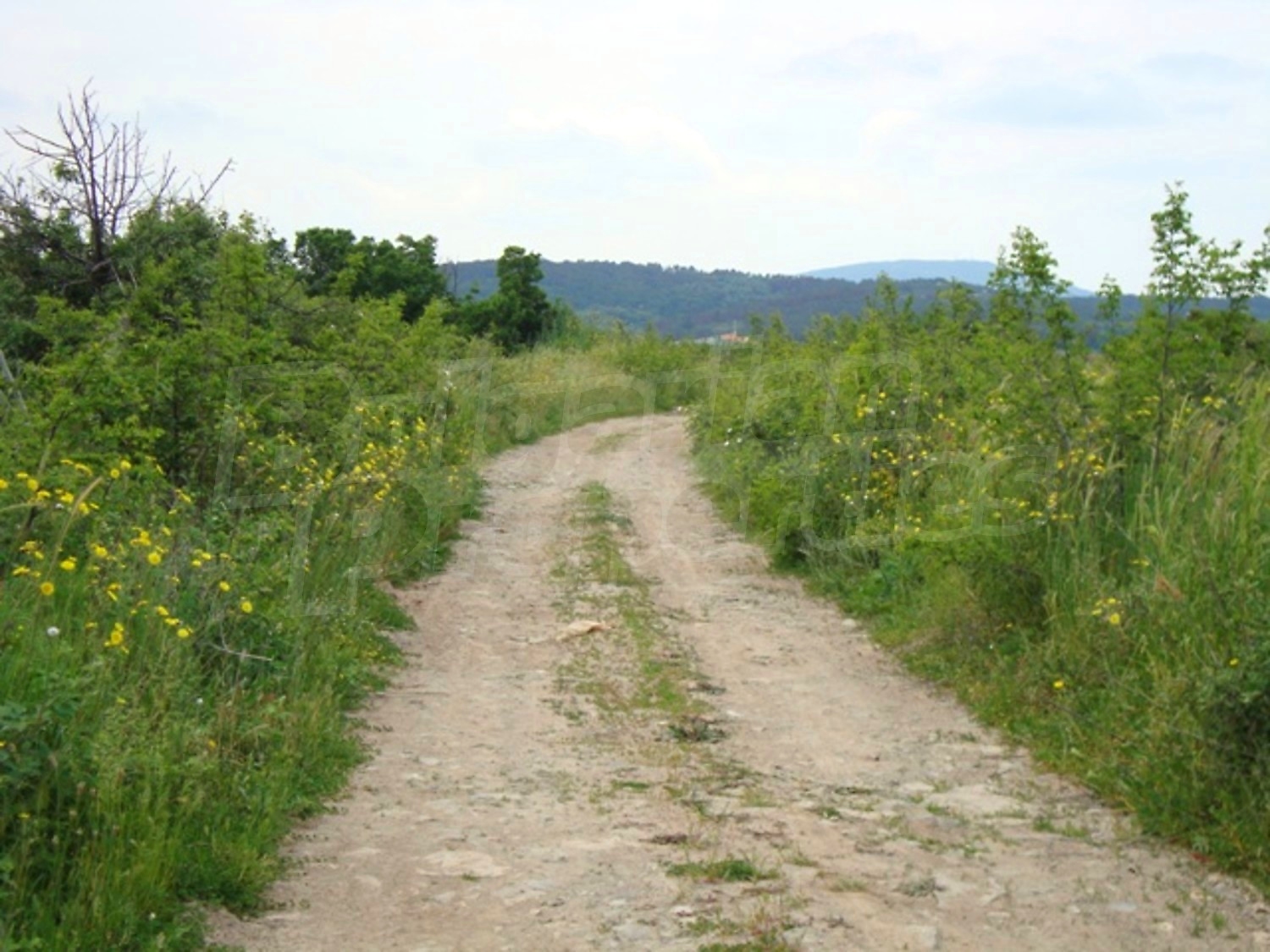 Gallery Picture 22