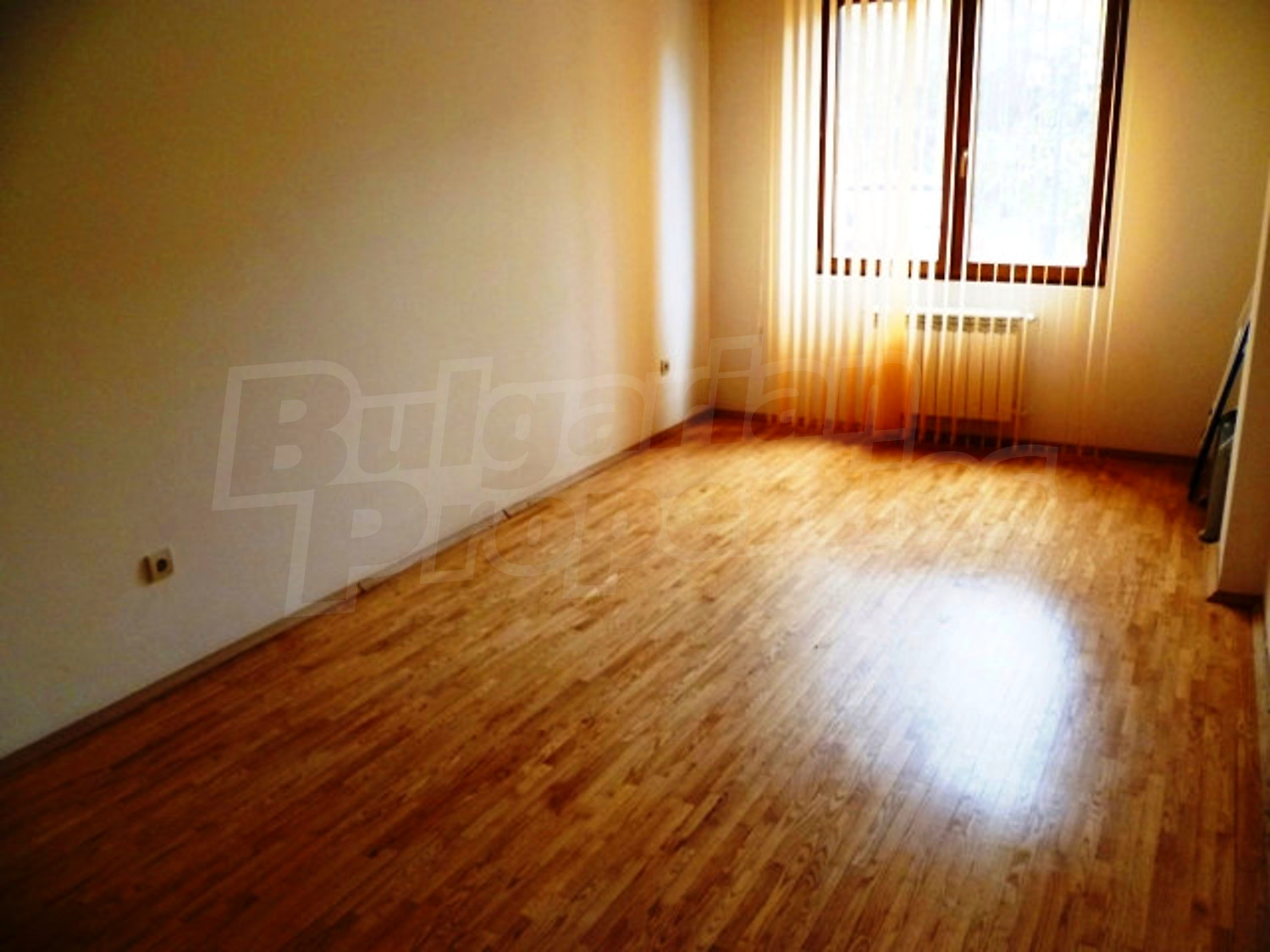 Gallery Picture 14