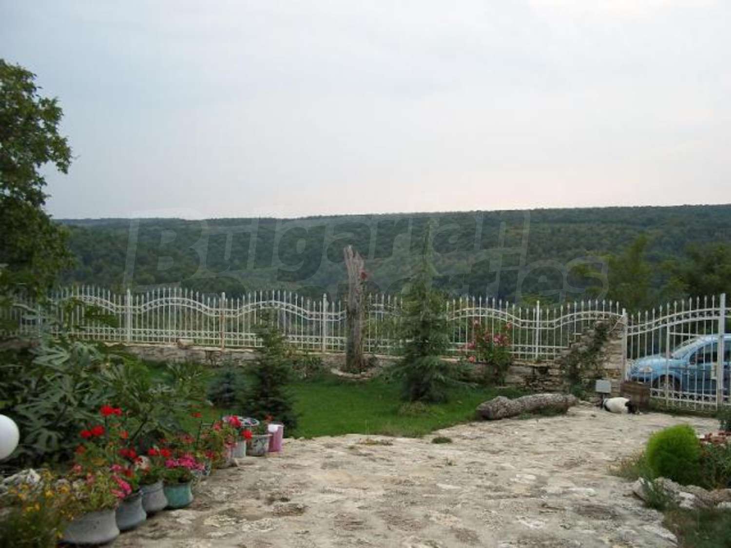 Gallery Picture 16