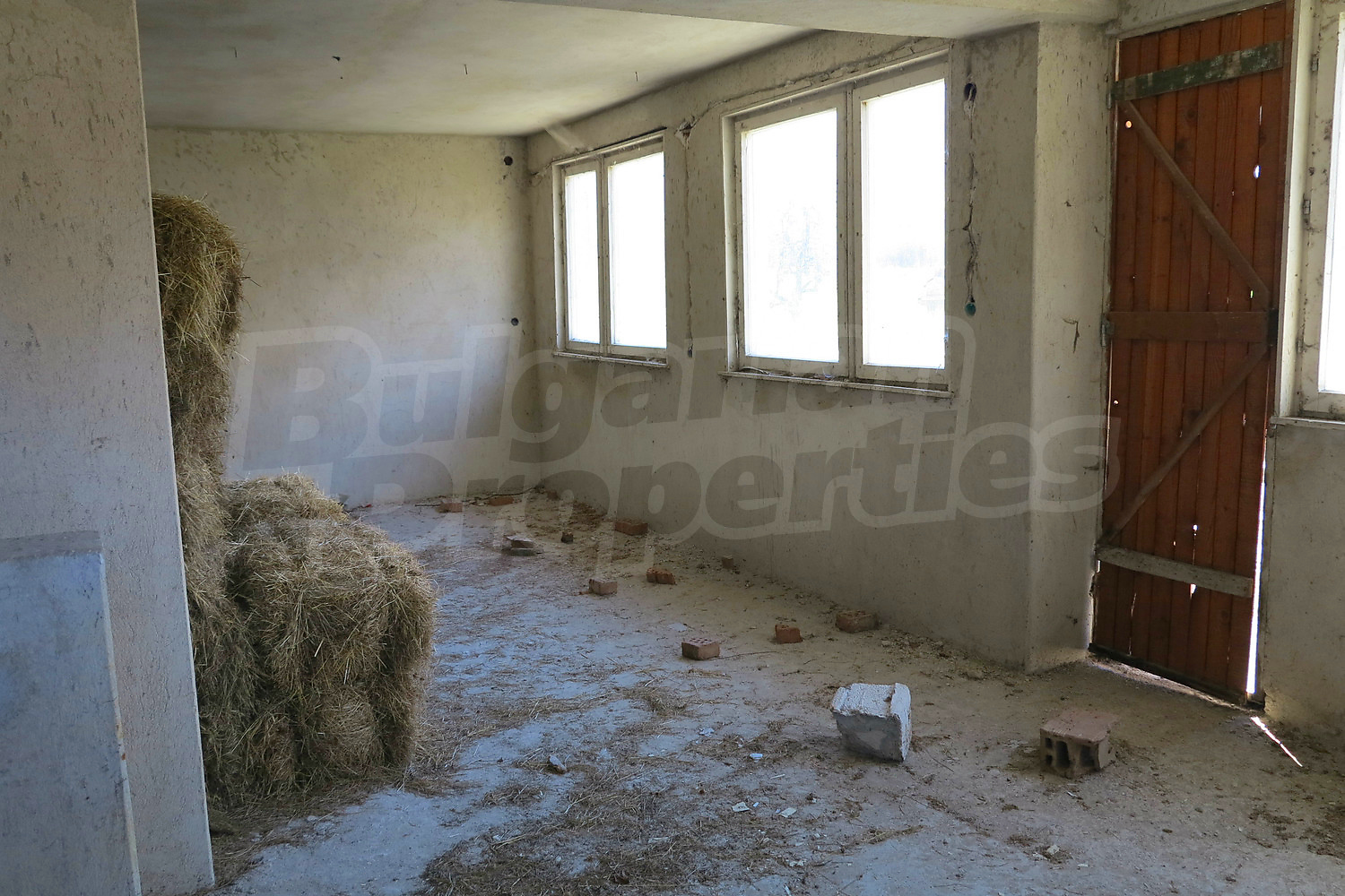 Gallery Picture 11