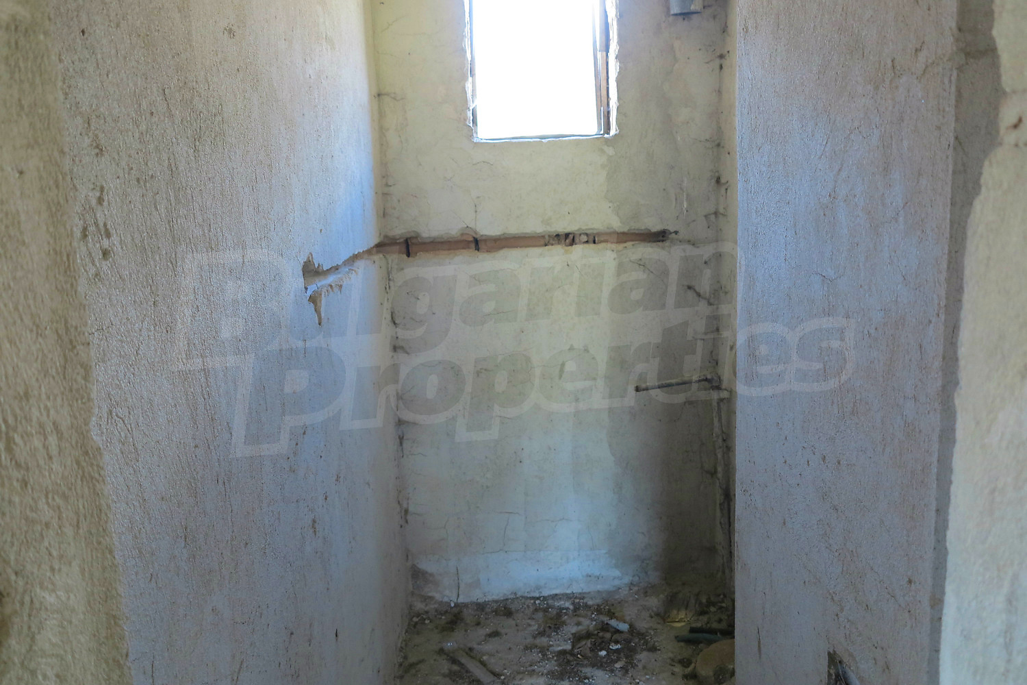 Gallery Picture 14