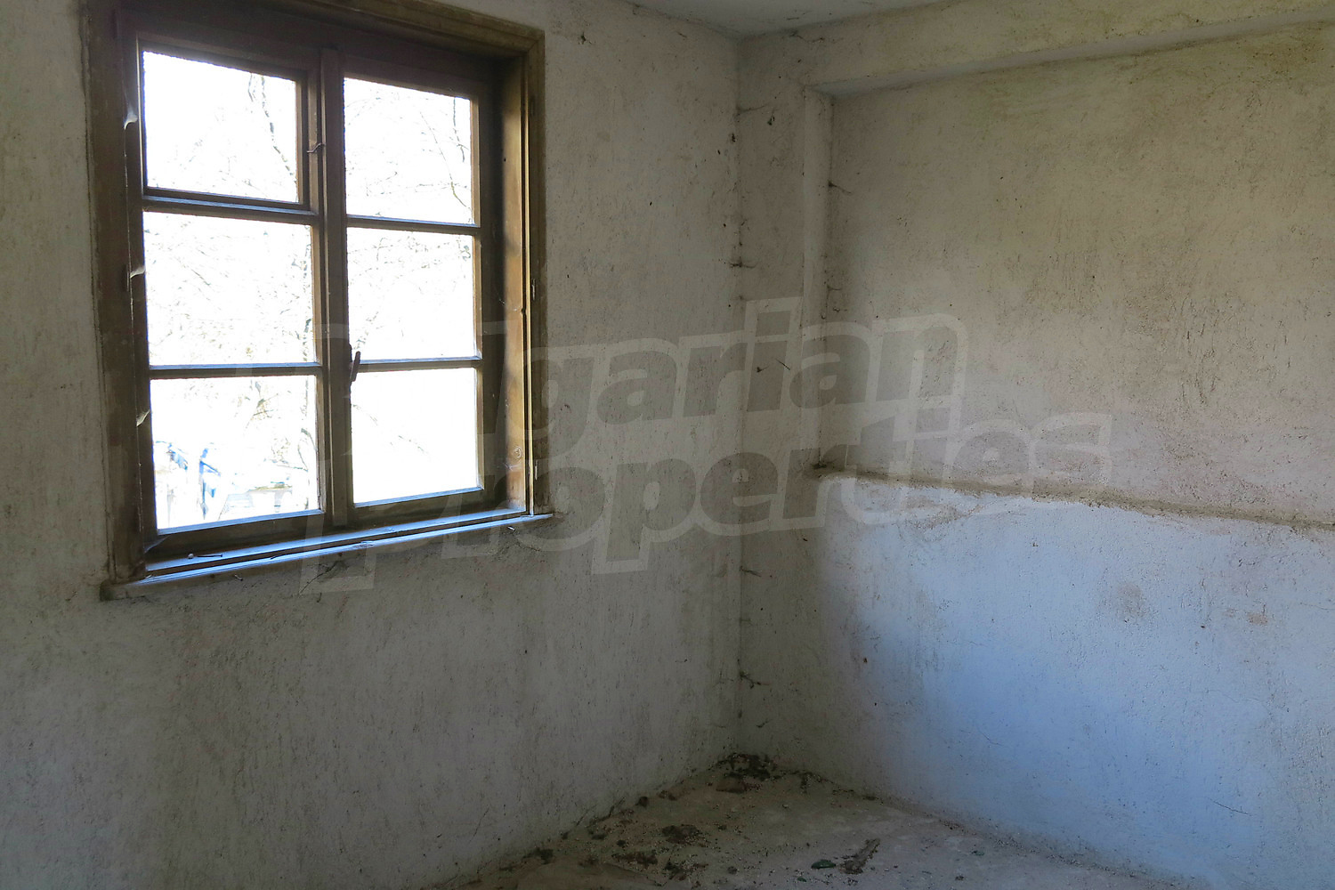 Gallery Picture 15