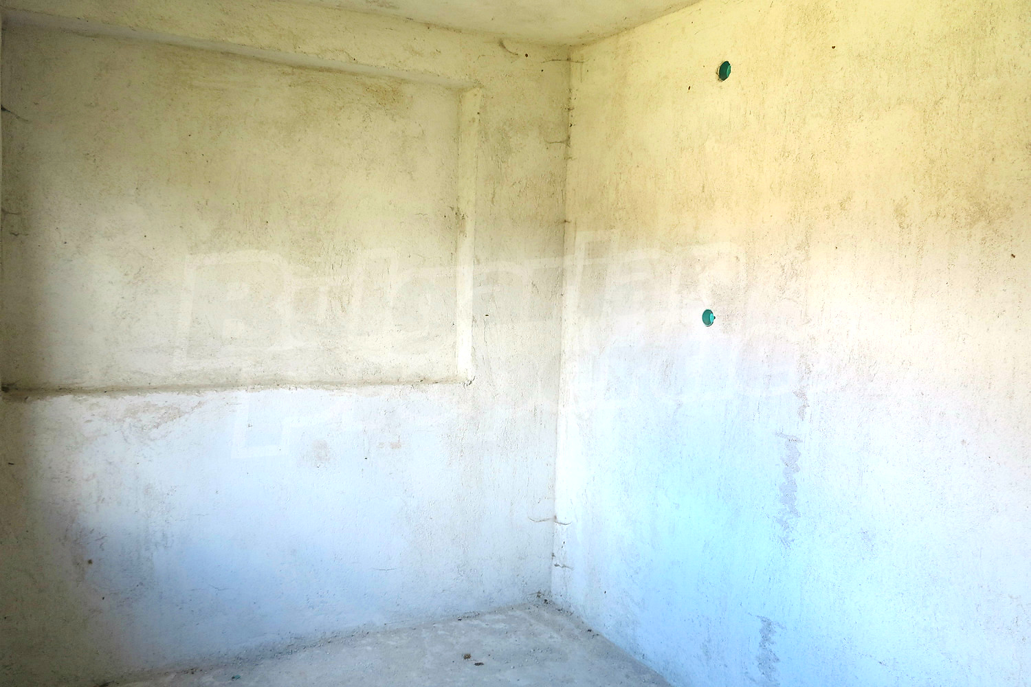 Gallery Picture 16