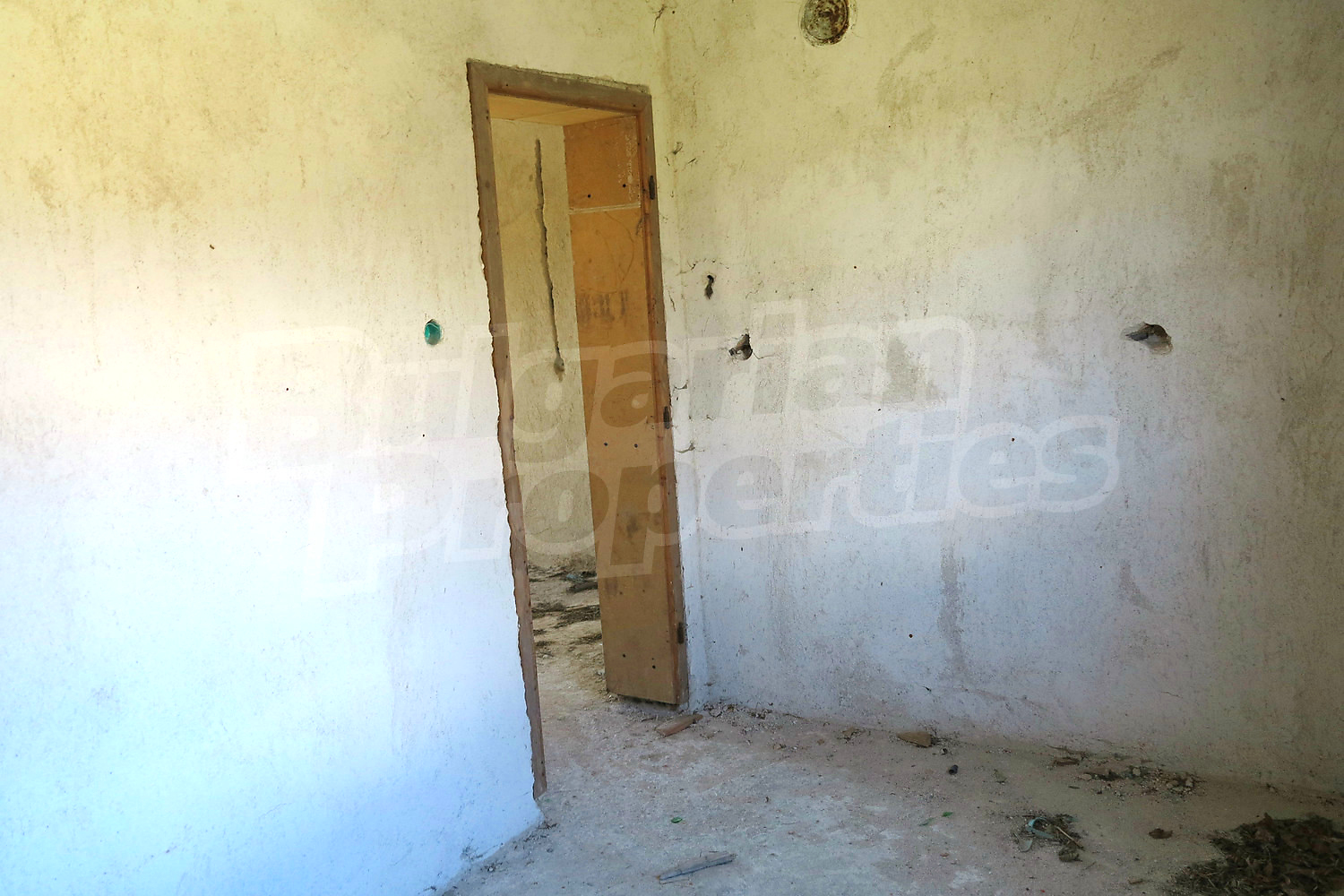 Gallery Picture 17