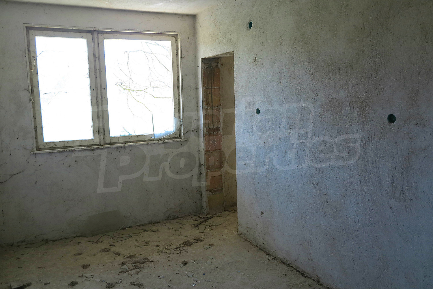Gallery Picture 24