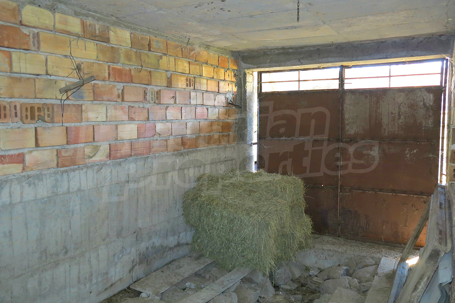 Gallery Picture 6