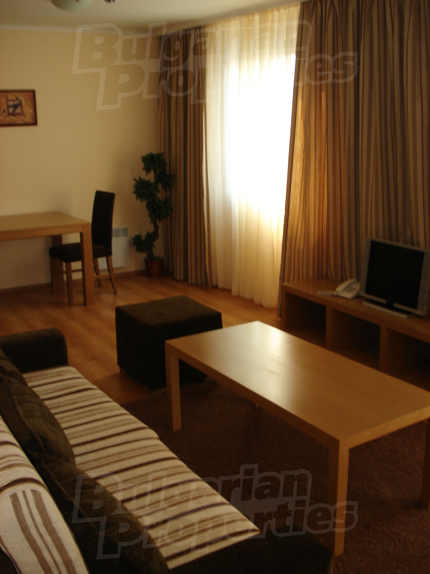 Gallery Picture 43