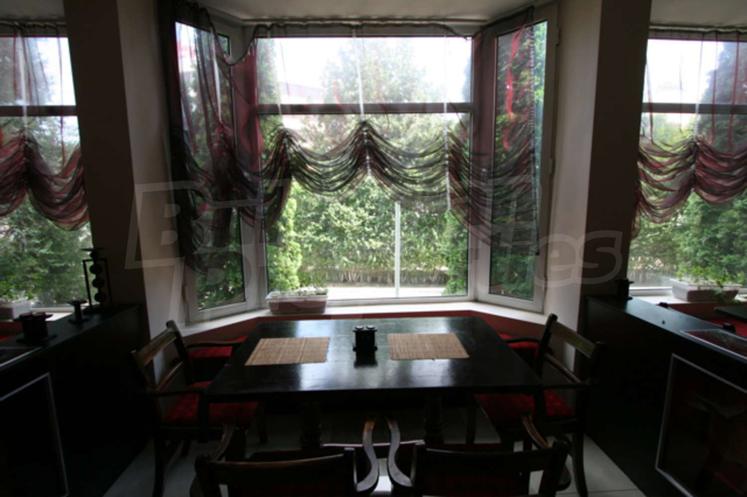 Gallery Picture 16