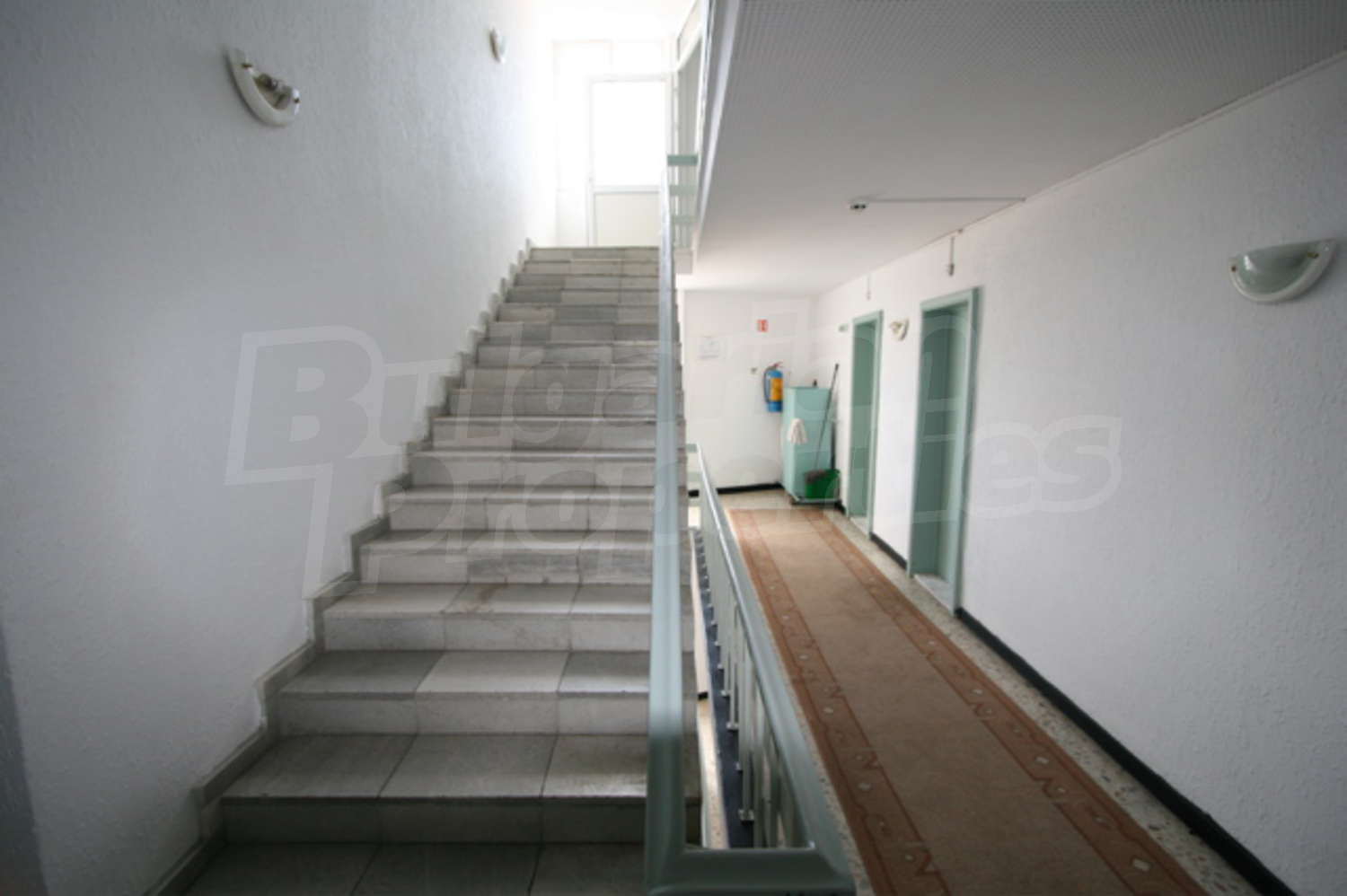 Gallery Picture 36