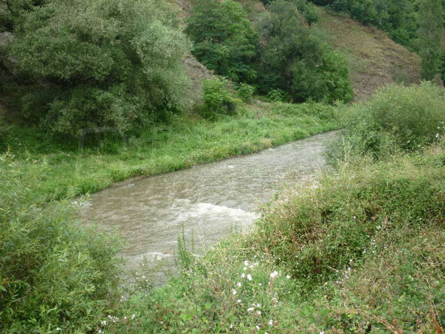 Gallery Picture 11
