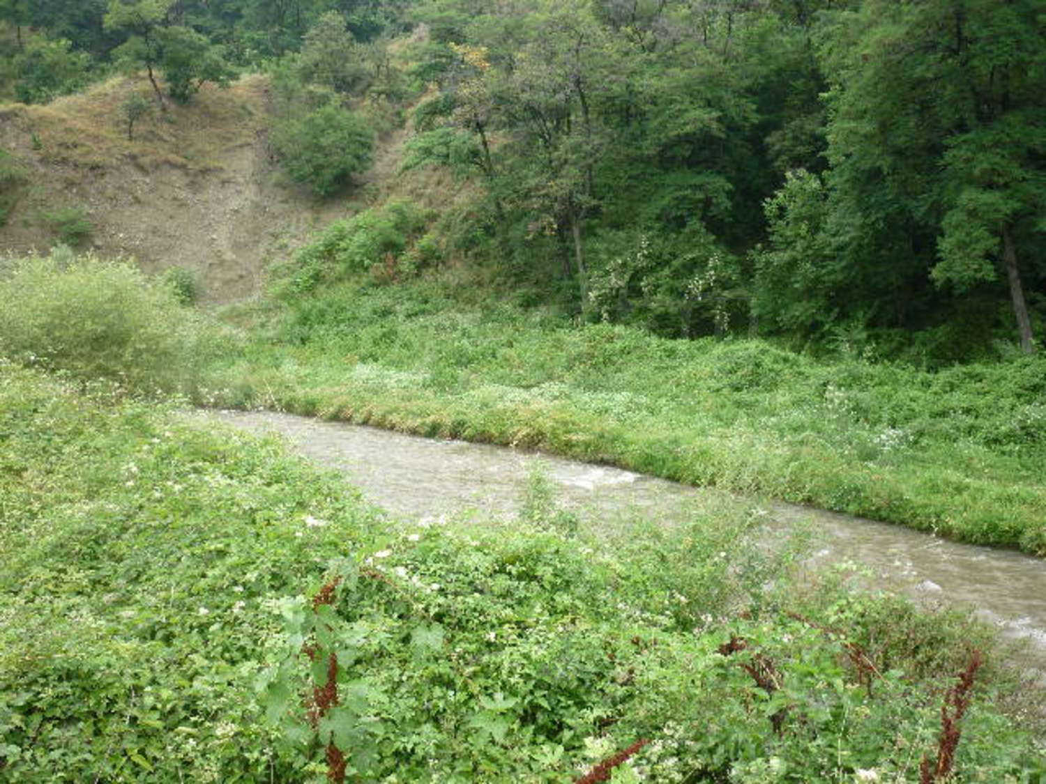Gallery Picture 12
