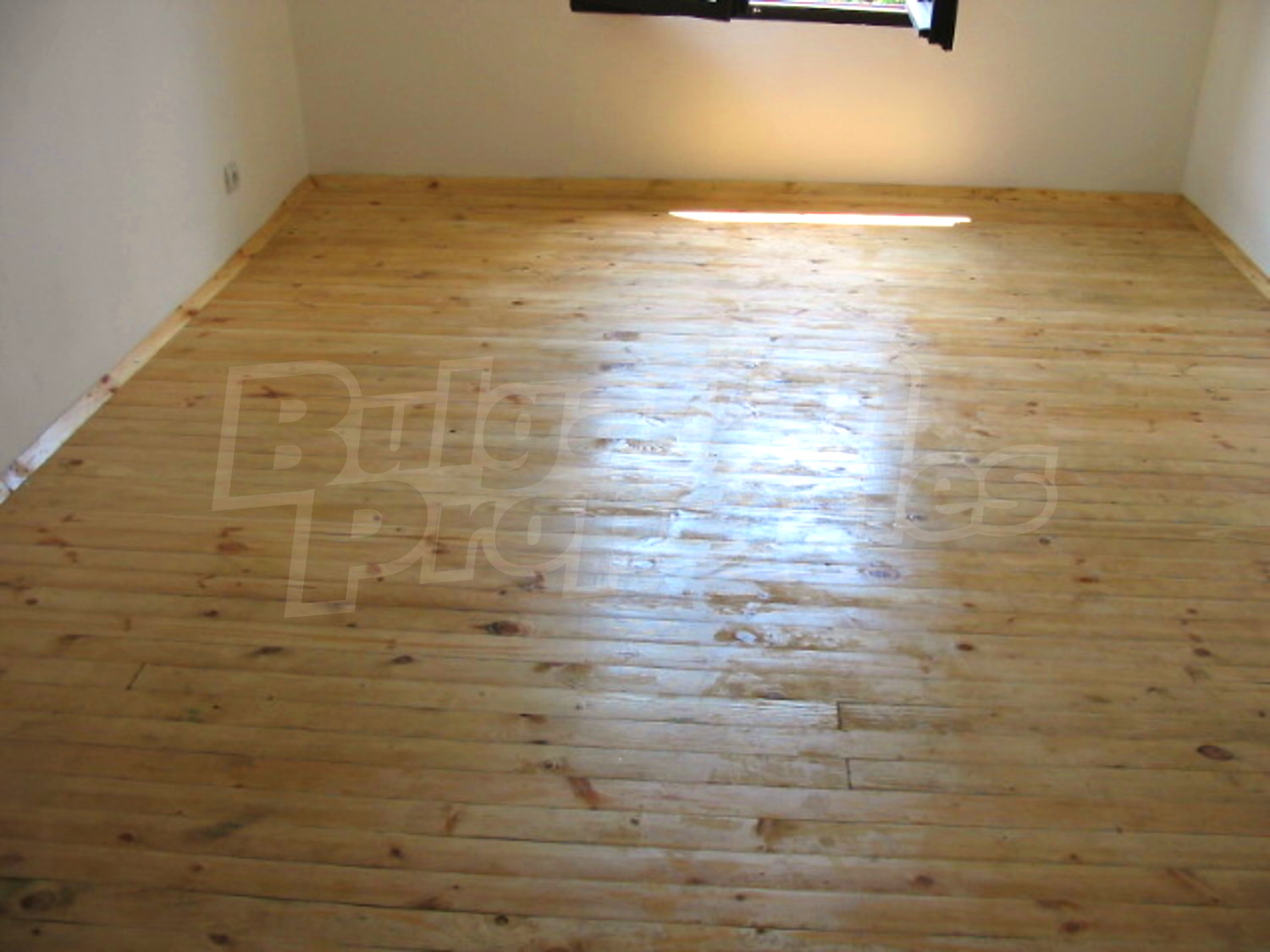 Gallery Picture 12