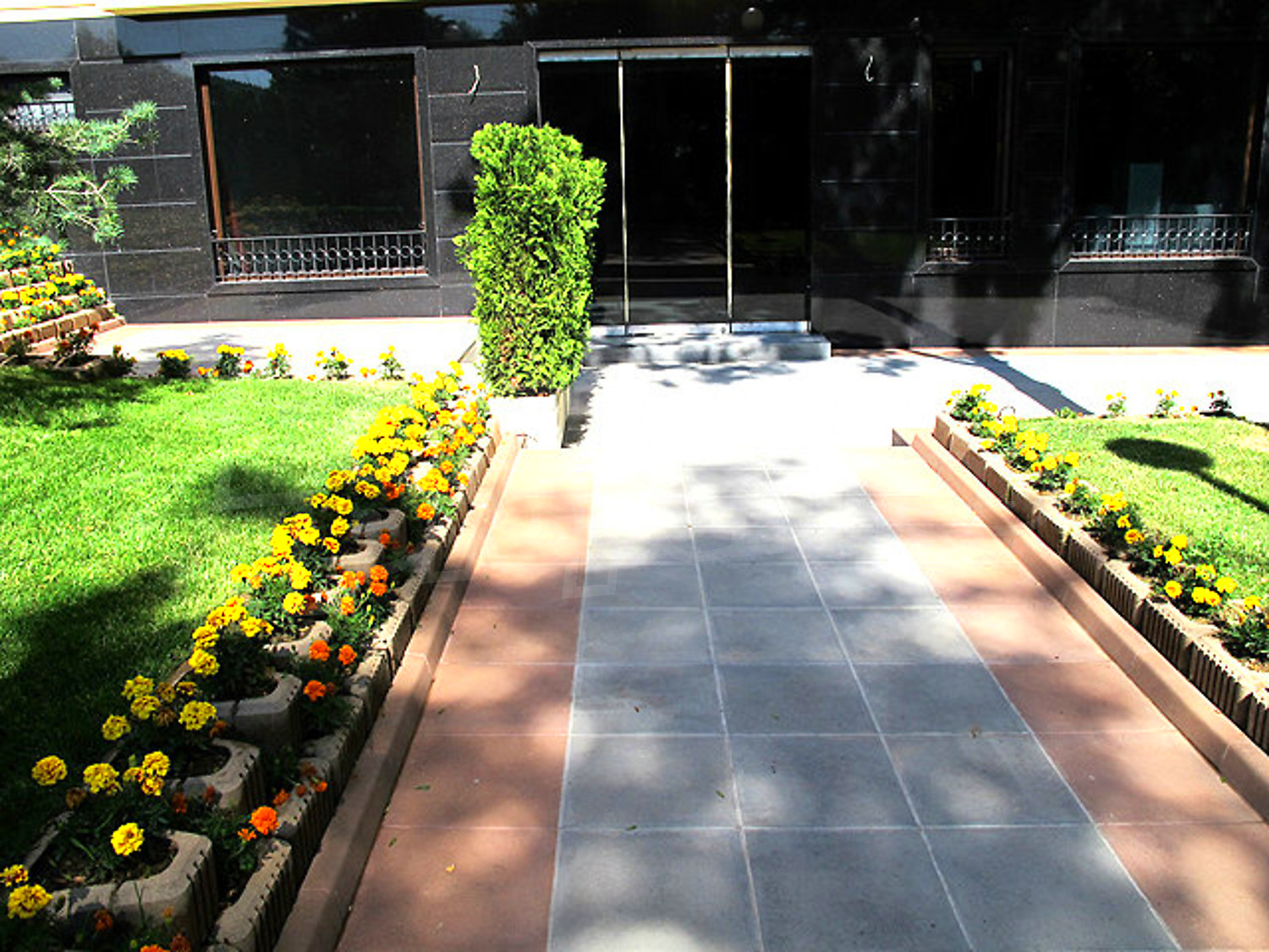 Gallery Picture 9