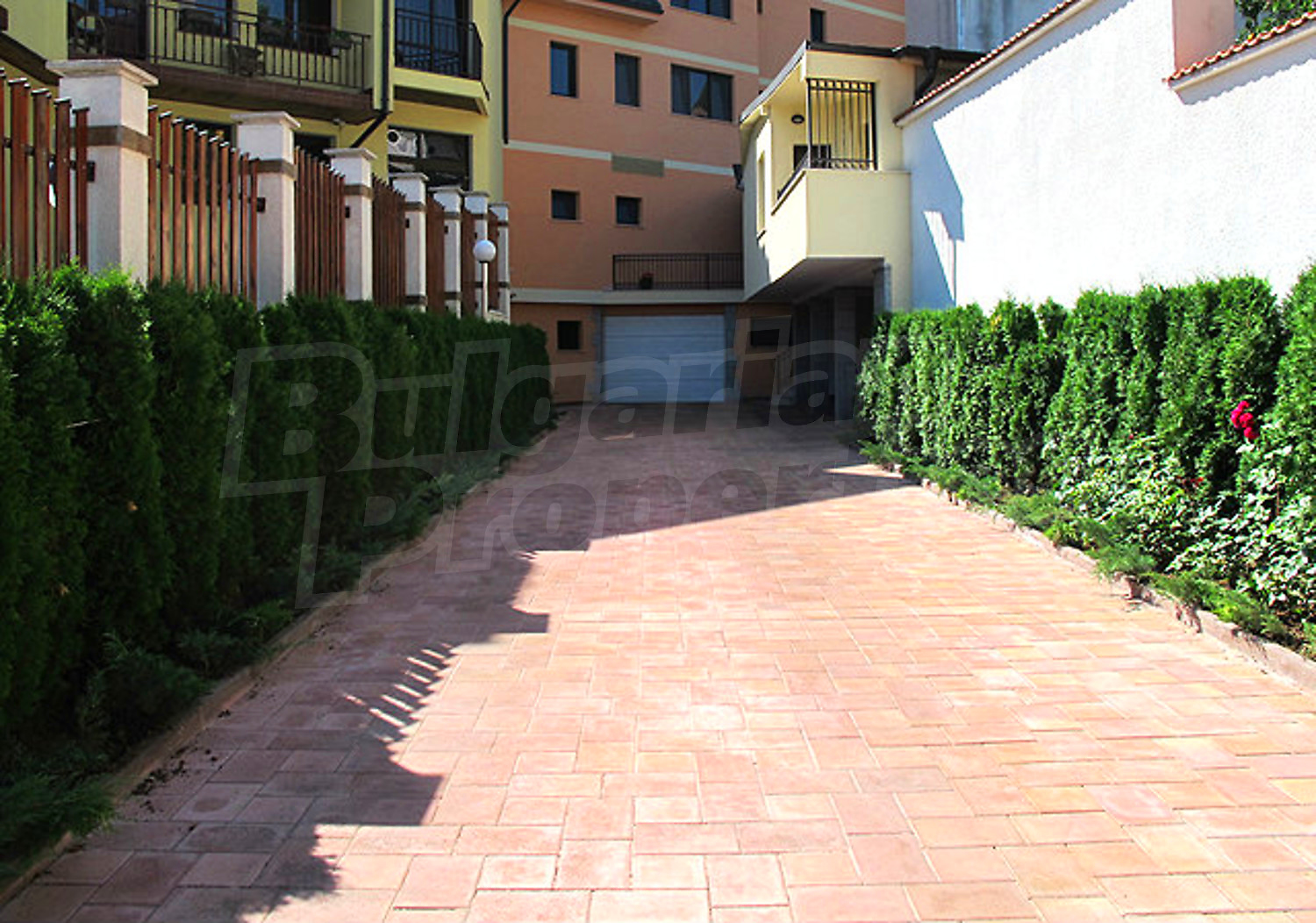 Gallery Picture 12