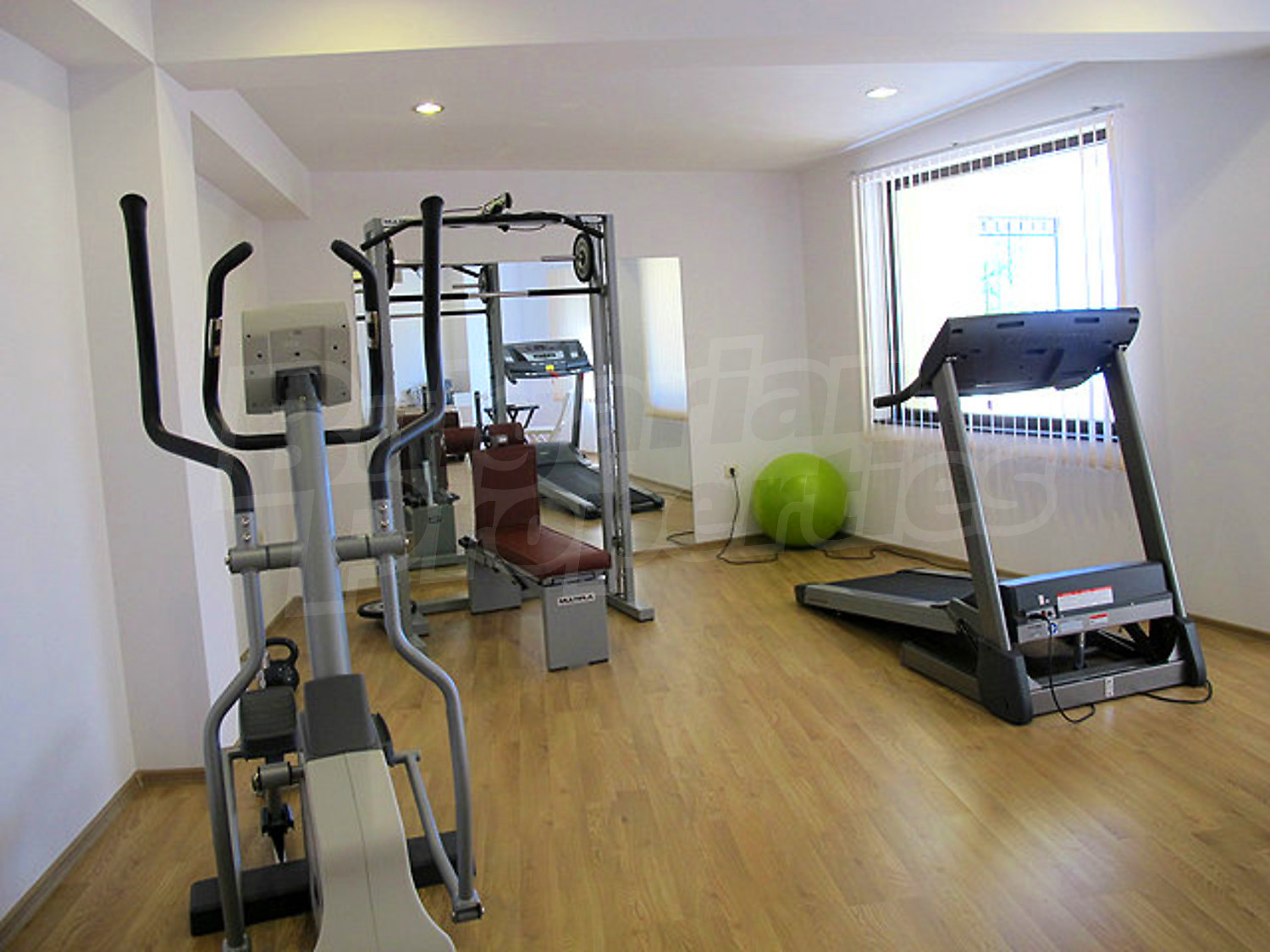 Gallery Picture 13