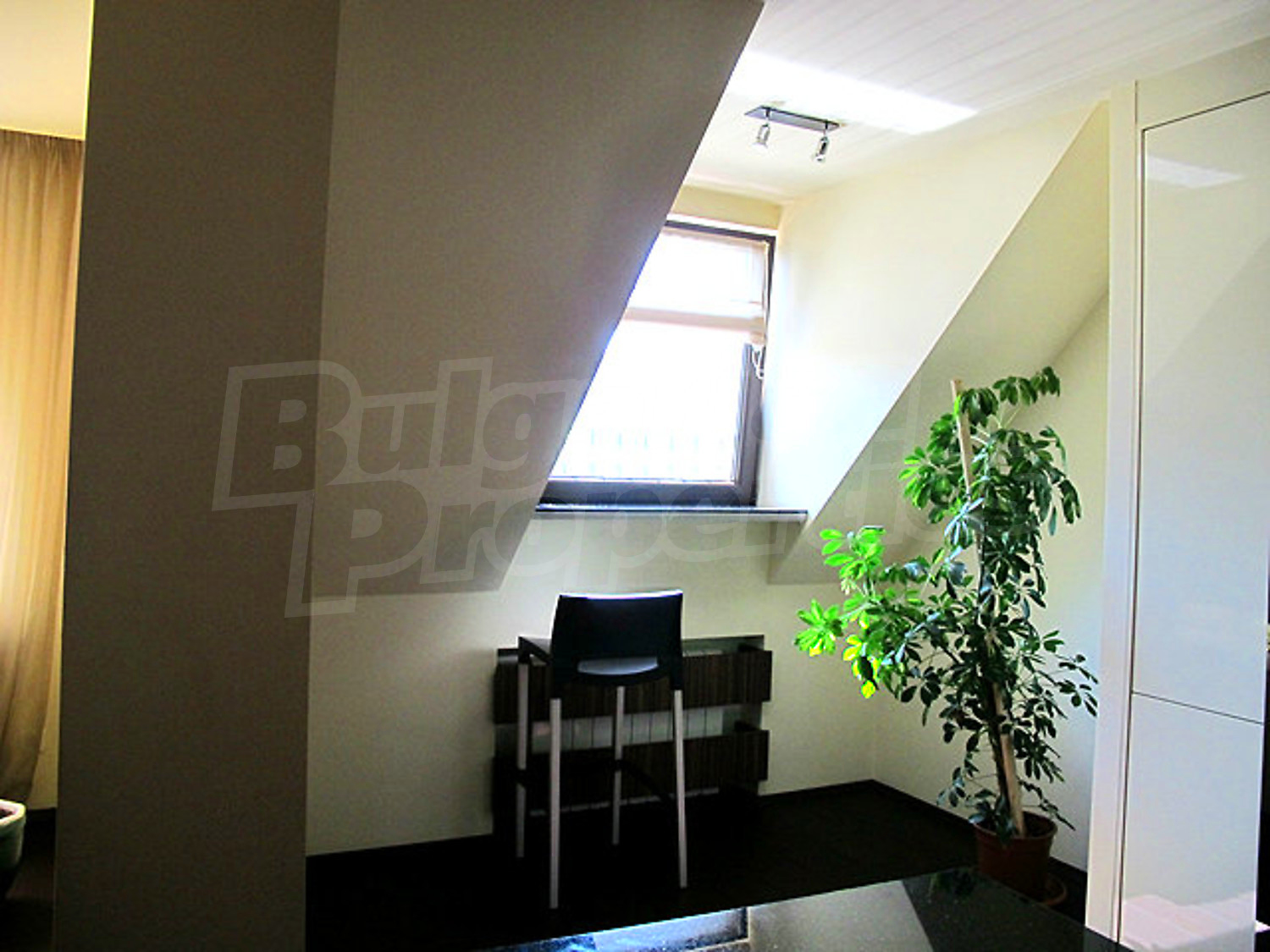 Gallery Picture 28