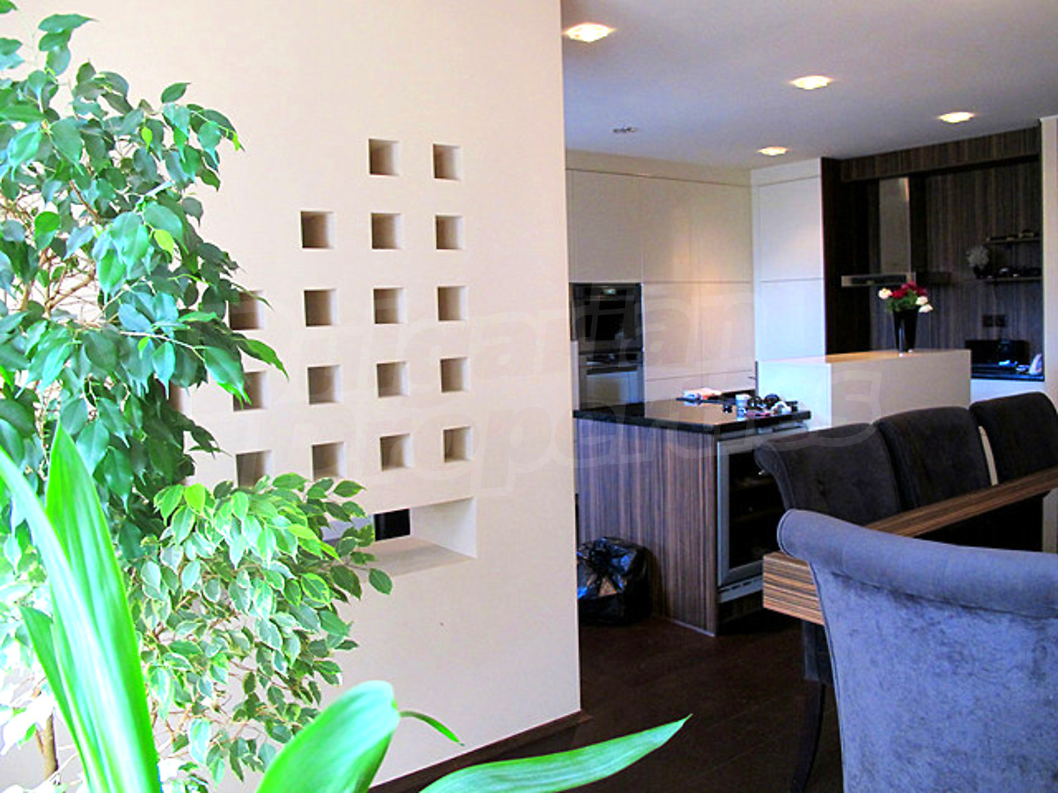 Gallery Picture 32