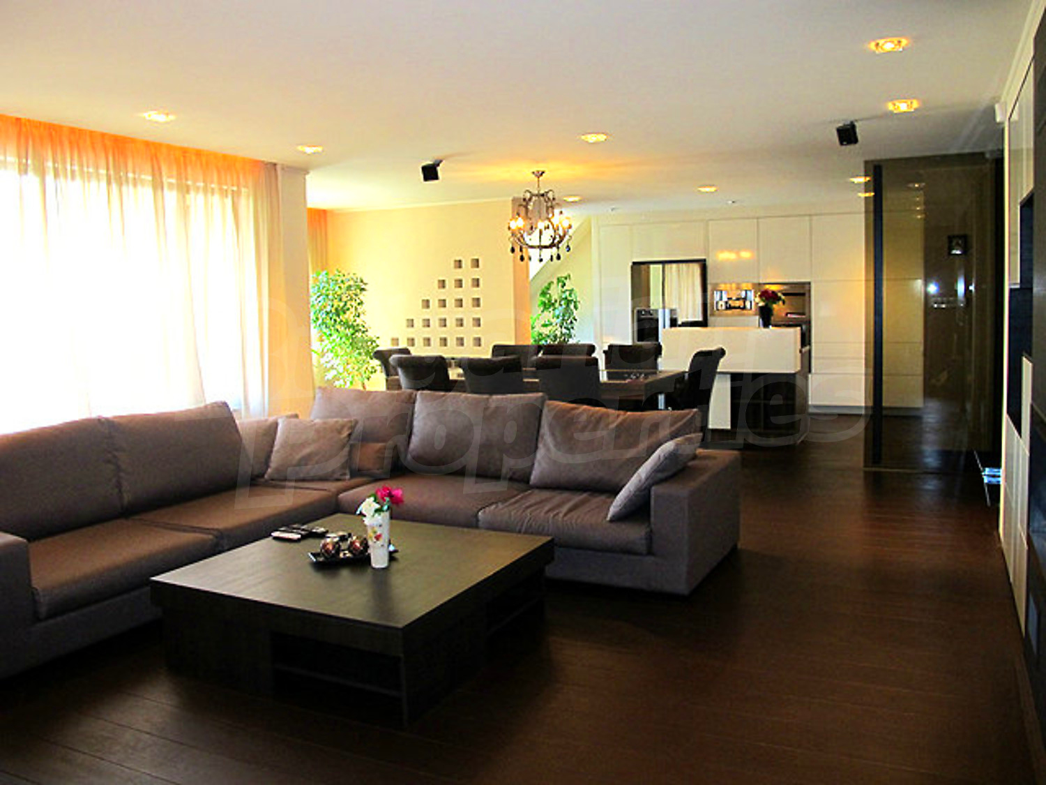 Gallery Picture 34