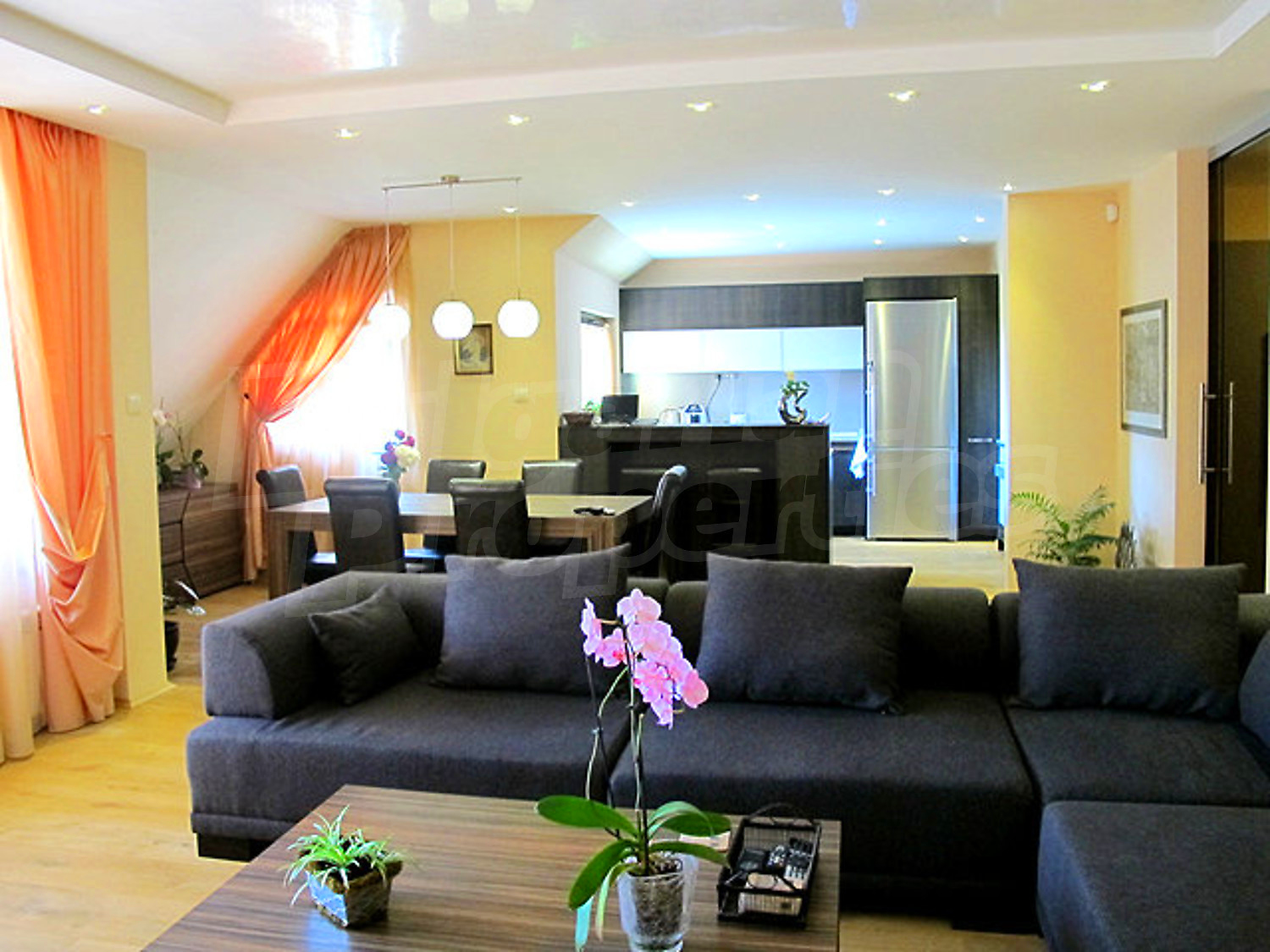 Gallery Picture 45