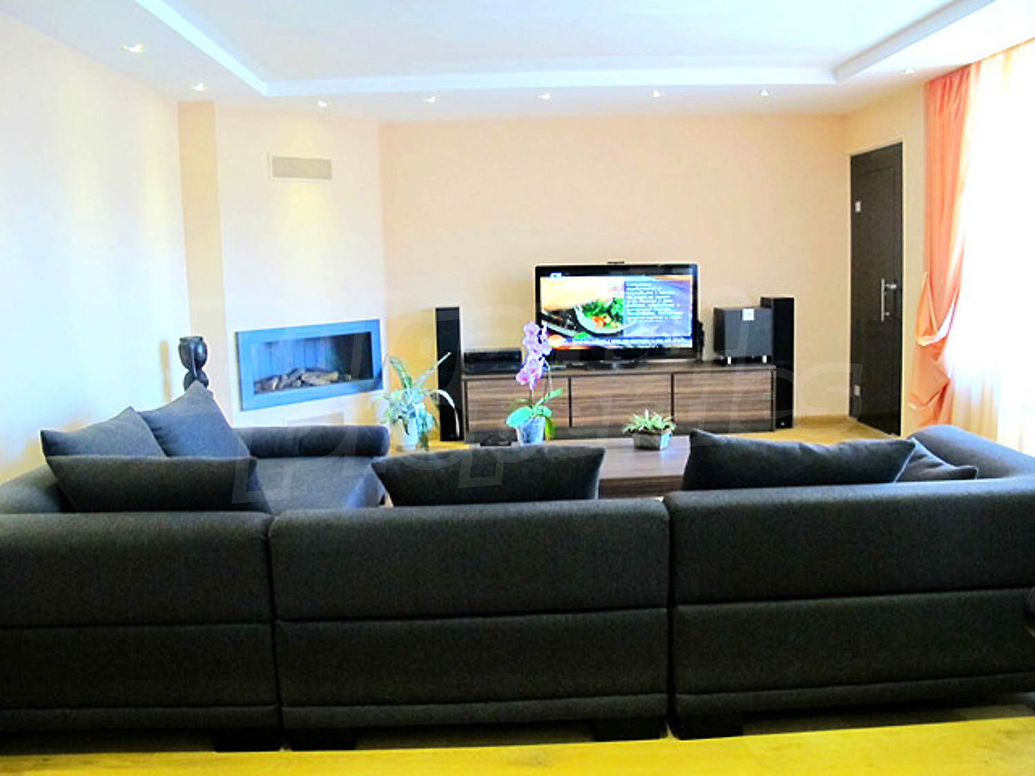 Gallery Picture 46