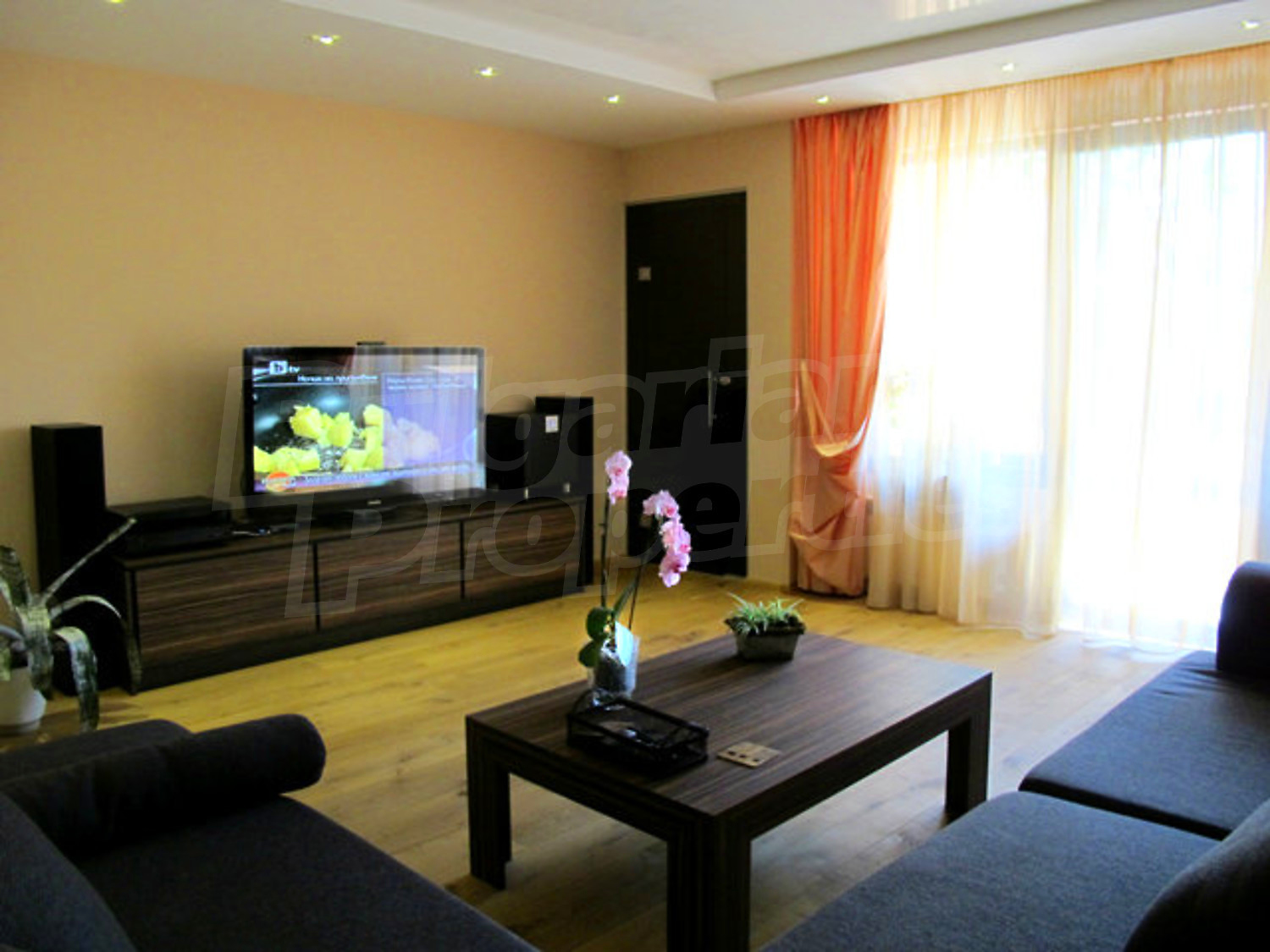 Gallery Picture 47