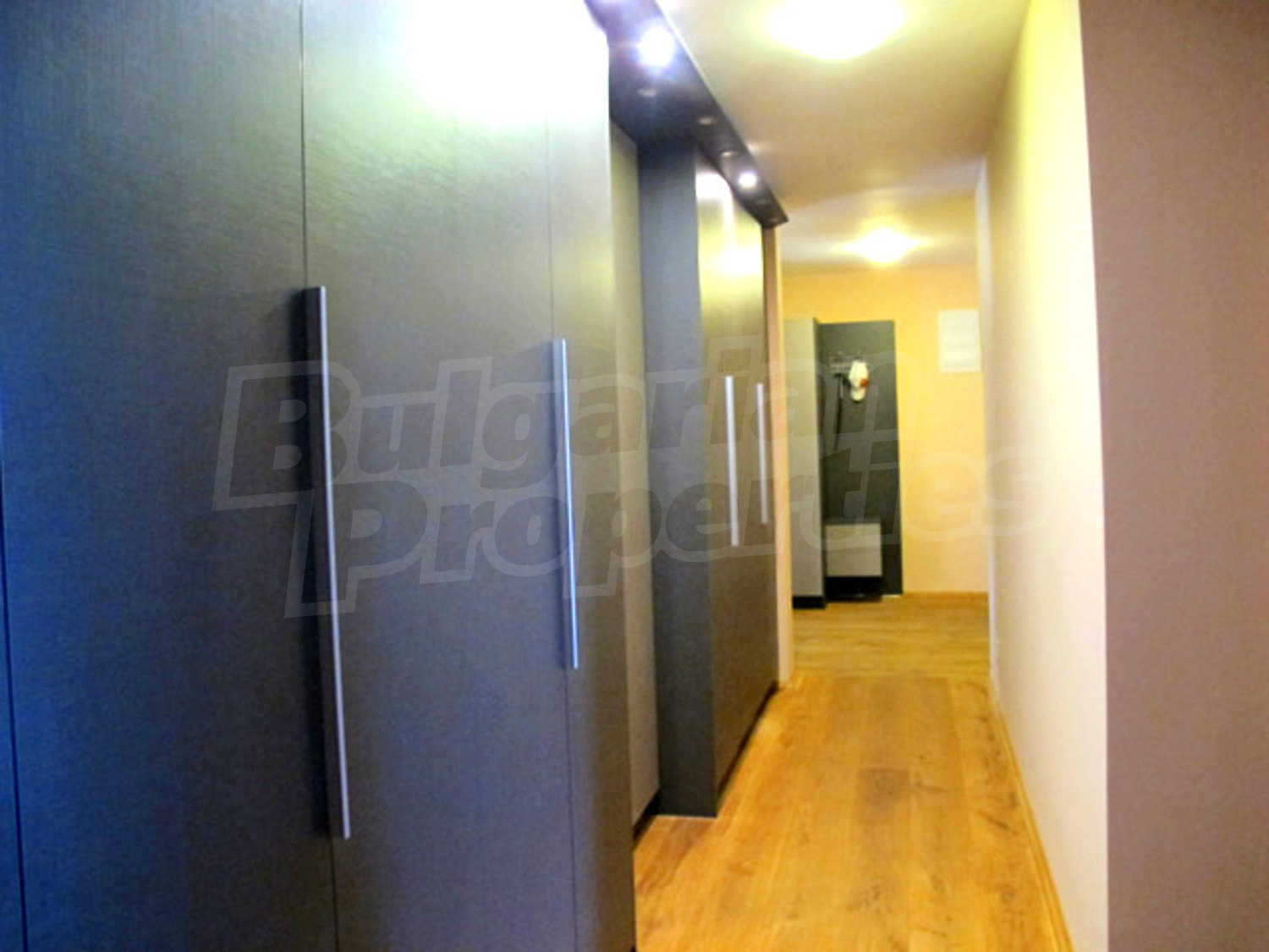 Gallery Picture 51
