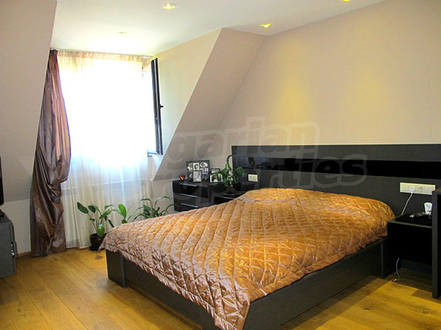 Gallery Picture 52