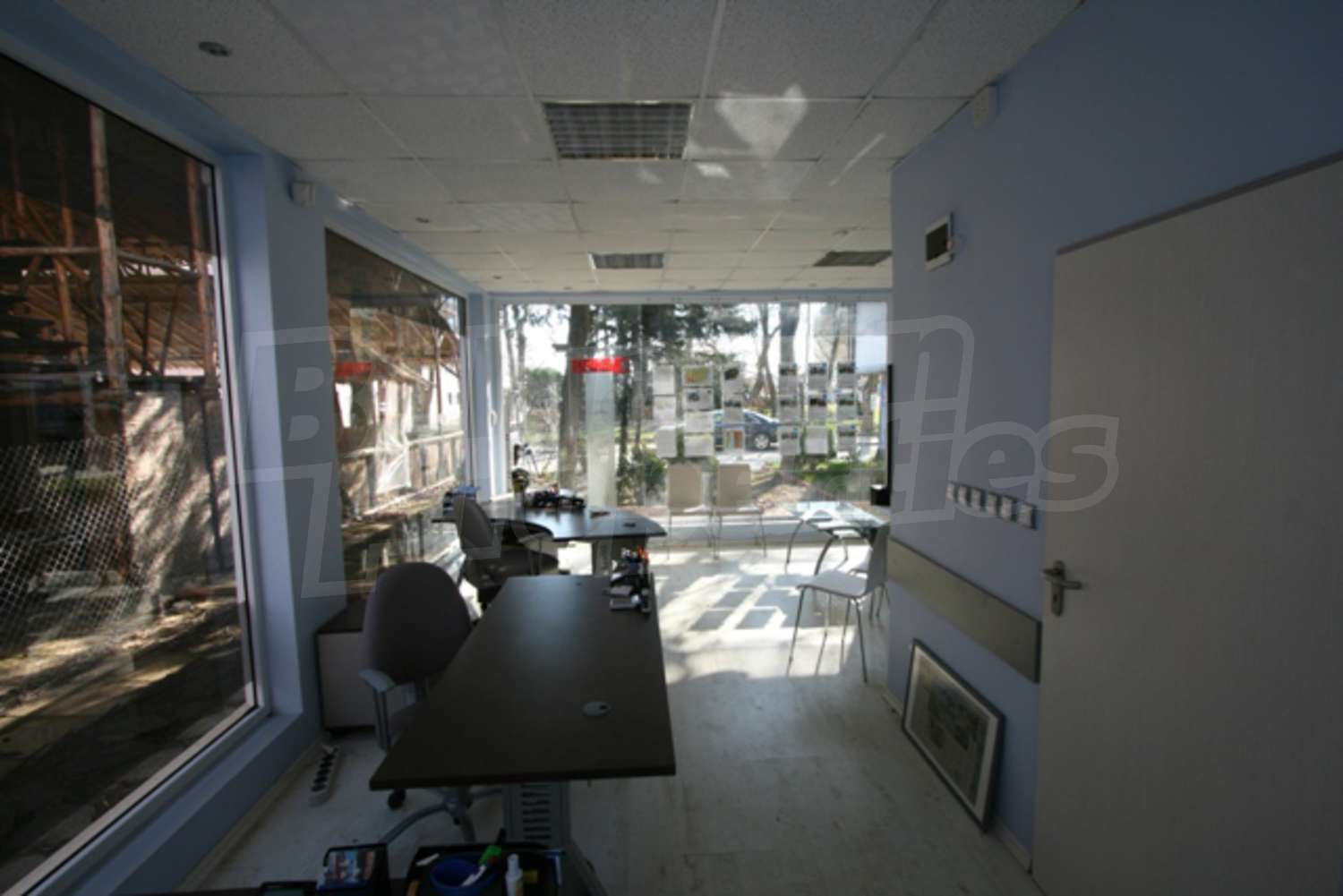 Gallery Picture 6