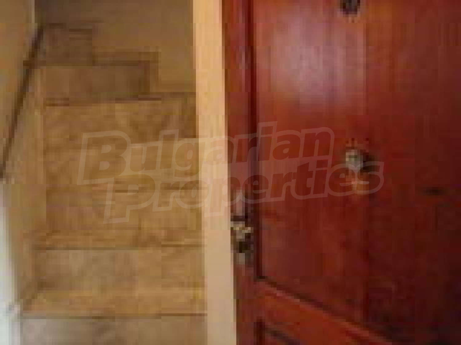 Gallery Picture 26