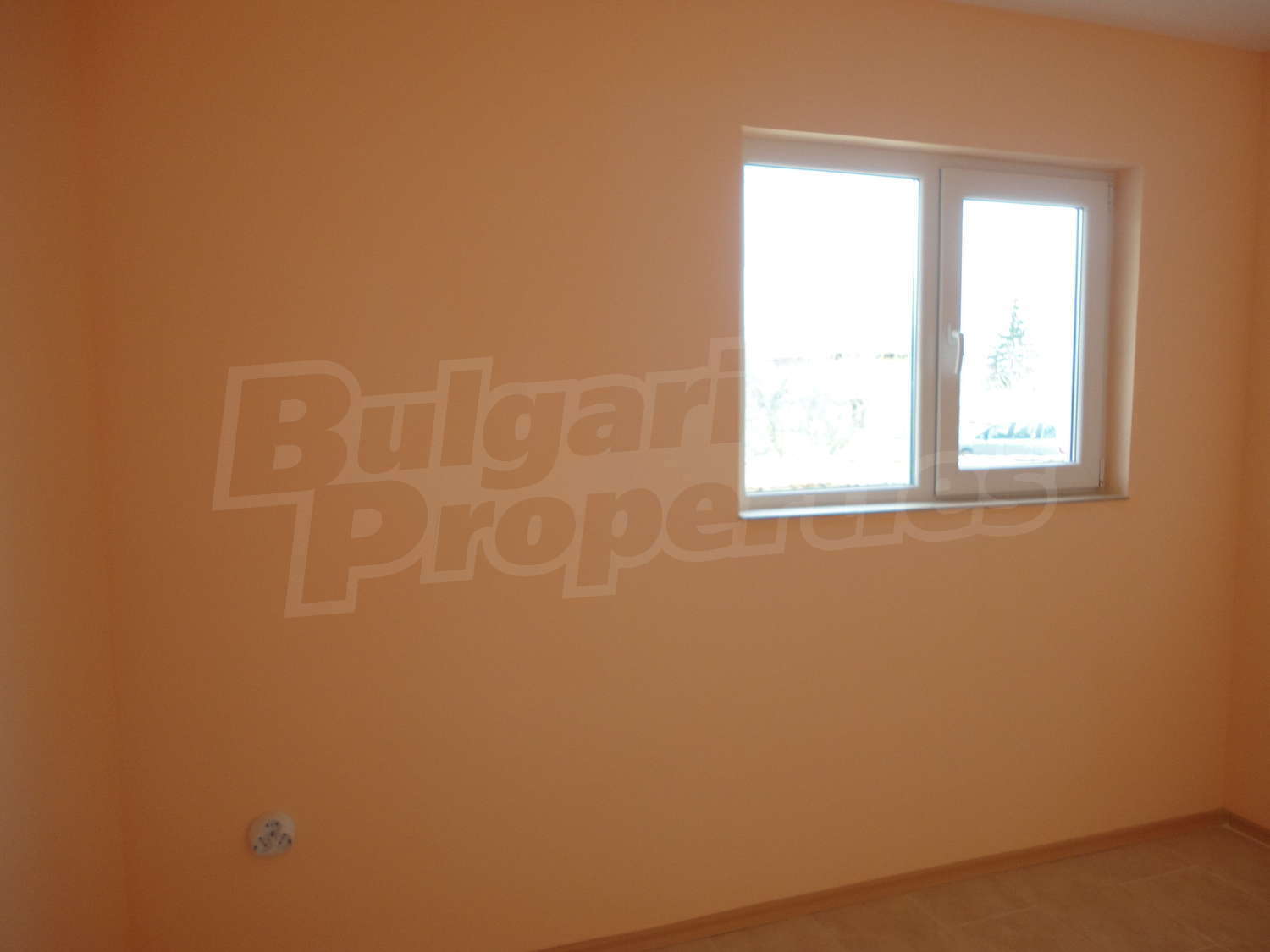 Gallery Picture 26