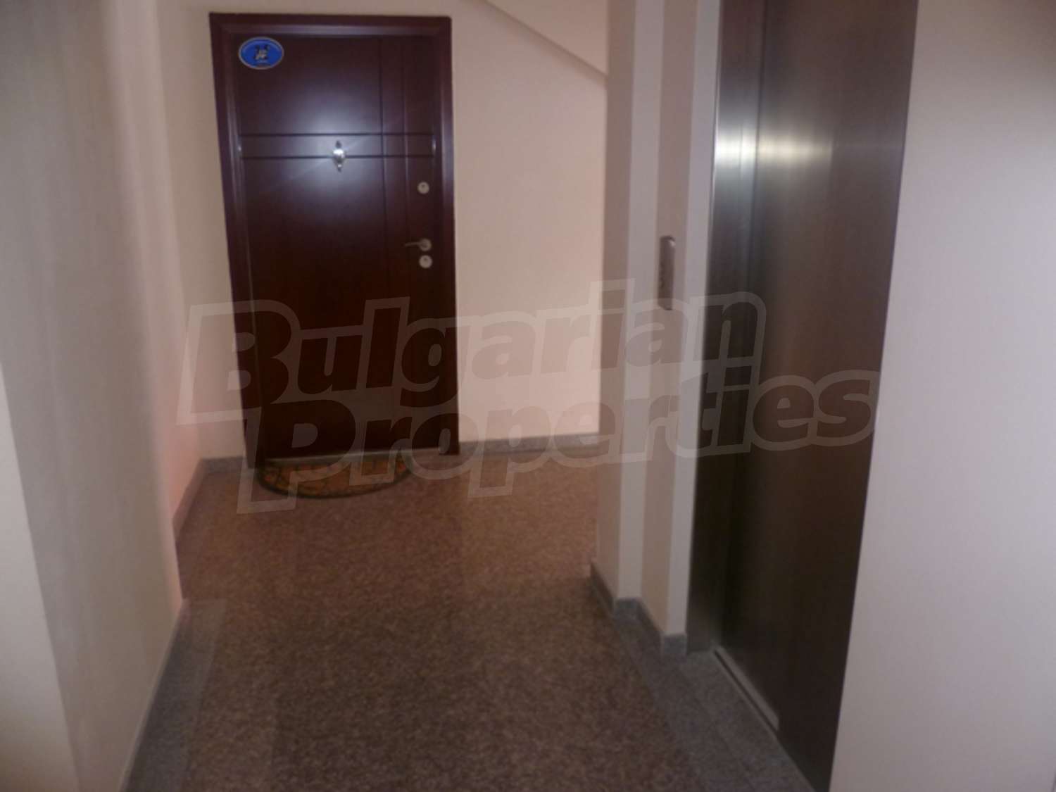 Gallery Picture 17