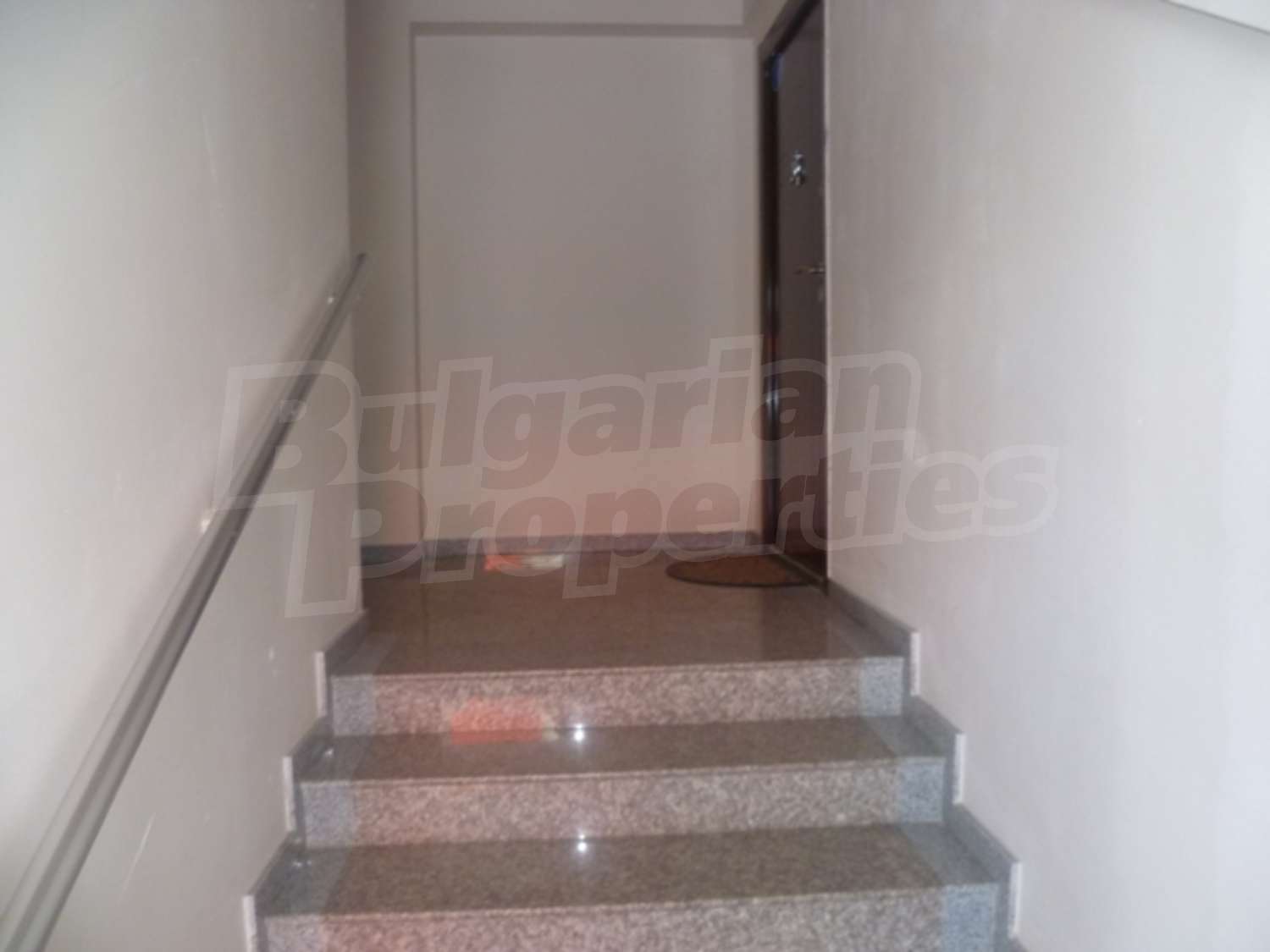 Gallery Picture 19