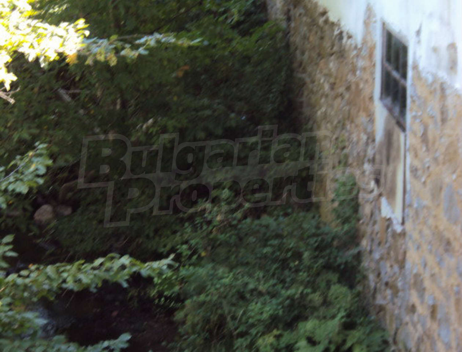 Gallery Picture 15
