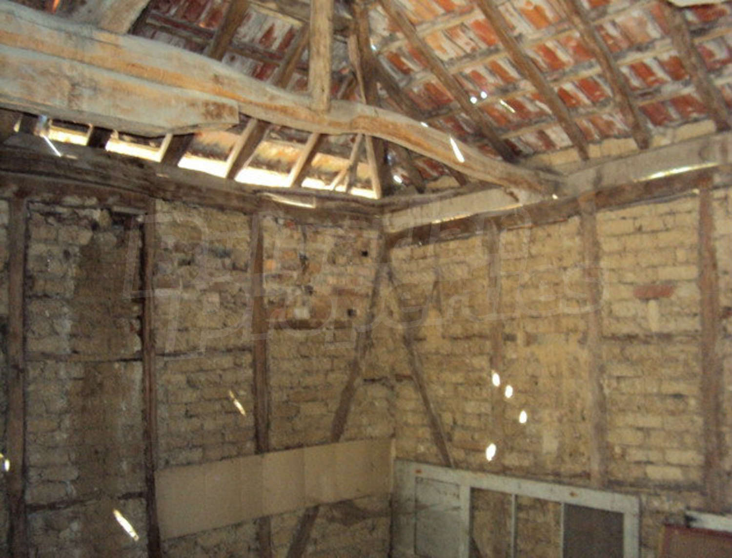 Gallery Picture 17