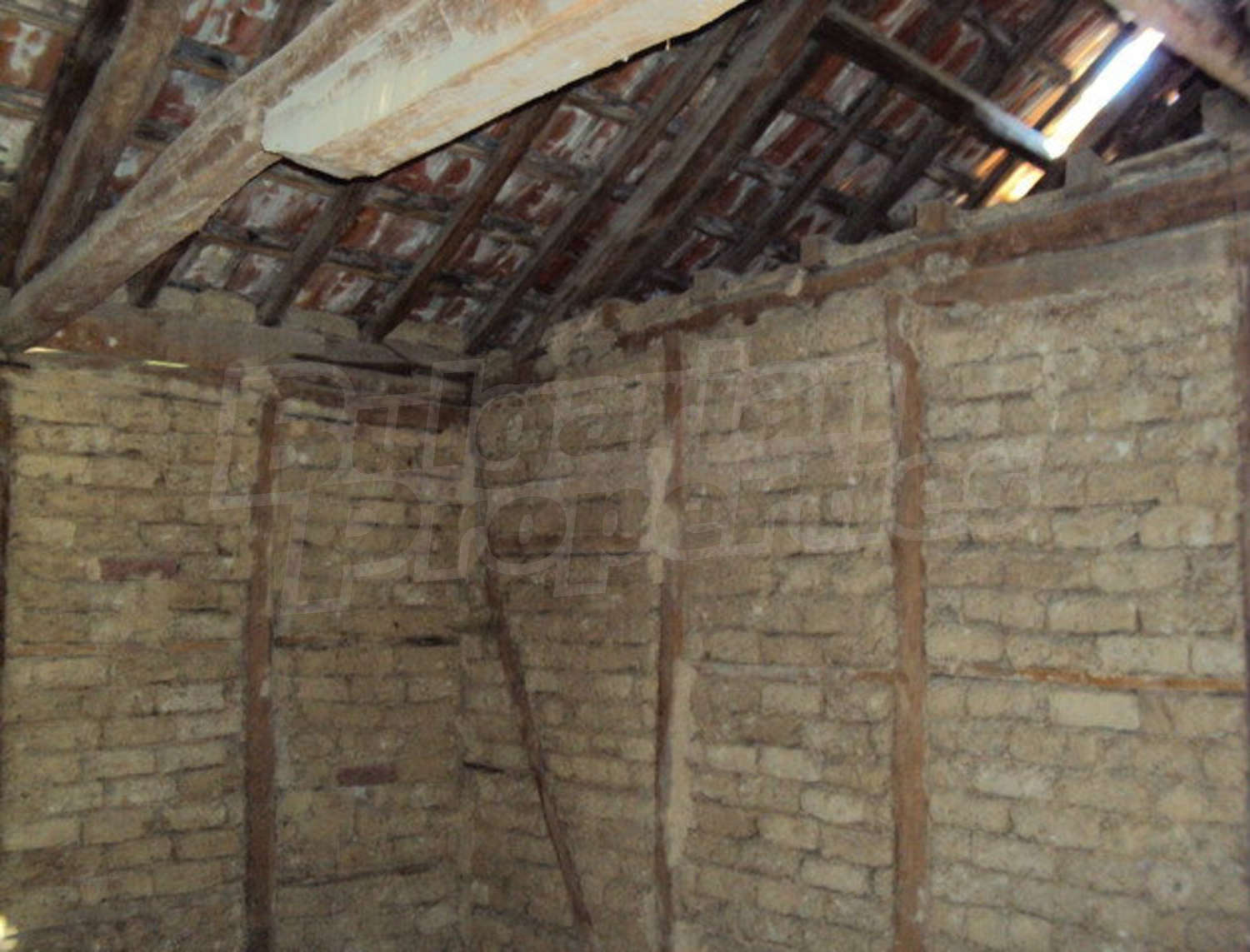 Gallery Picture 18