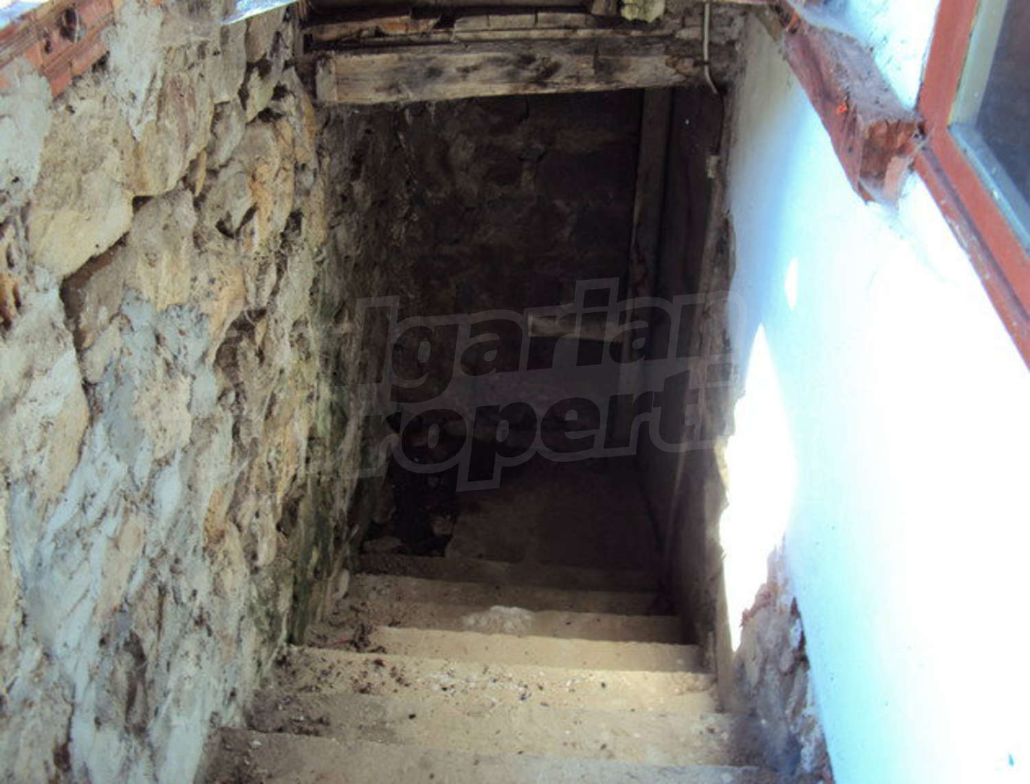 Gallery Picture 20