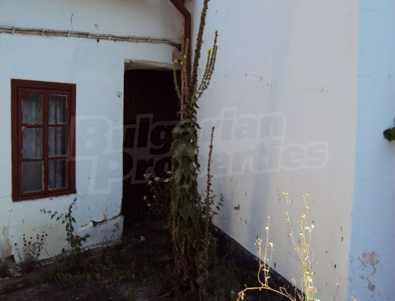 Gallery Picture 23