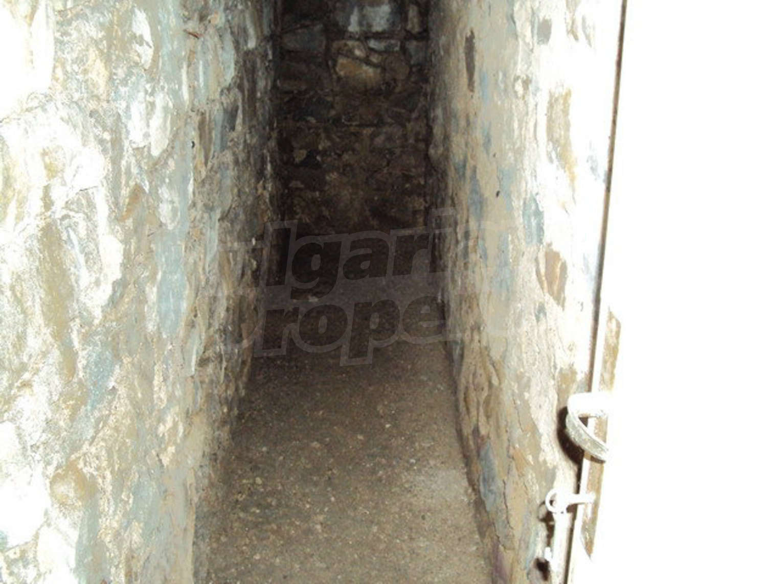 Gallery Picture 34