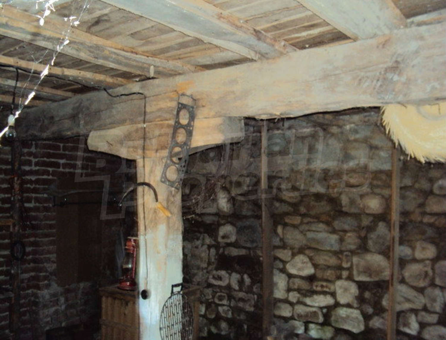 Gallery Picture 45