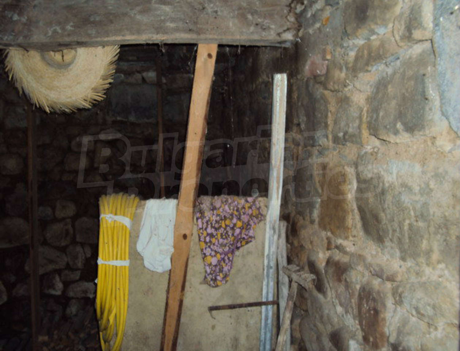 Gallery Picture 48