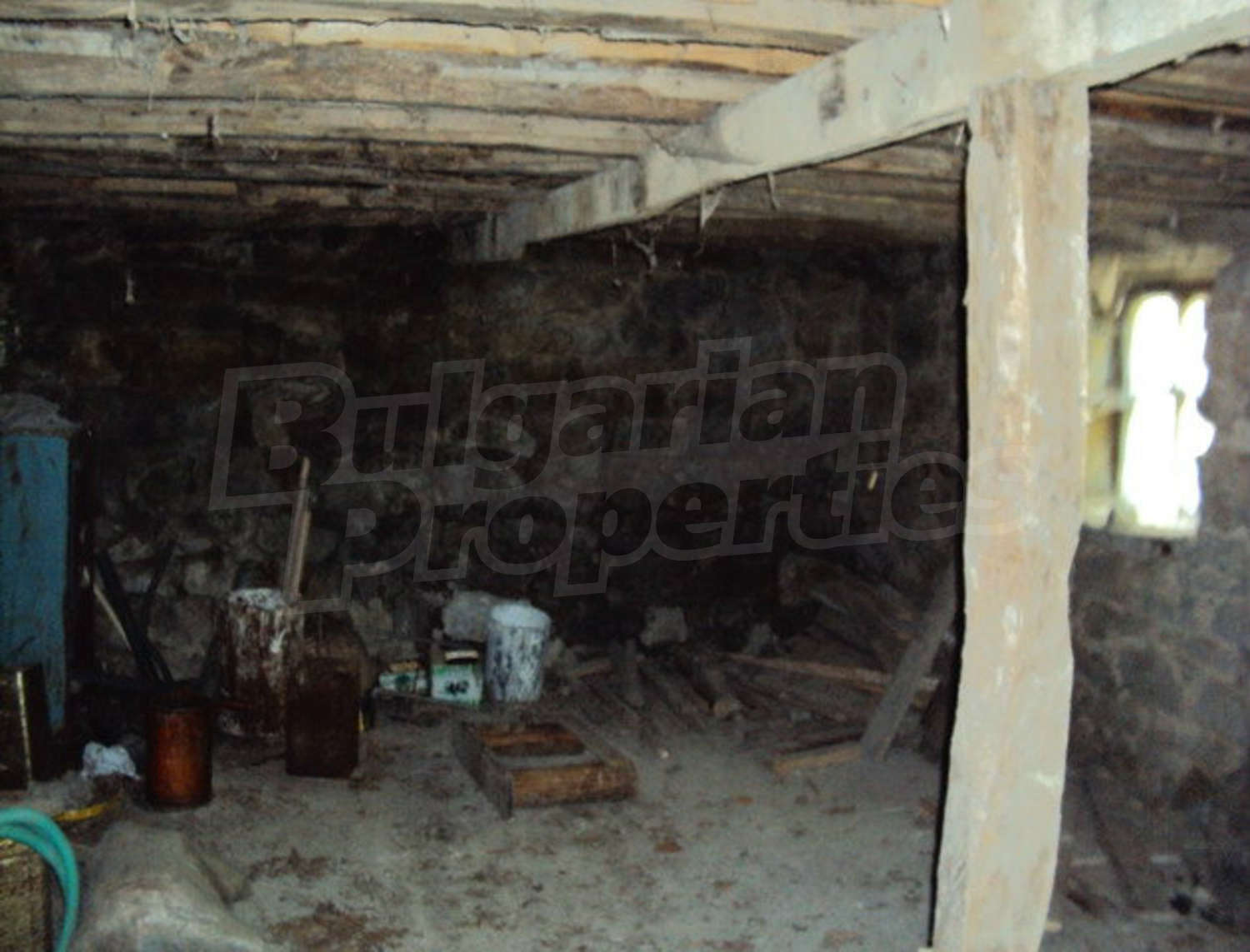 Gallery Picture 59